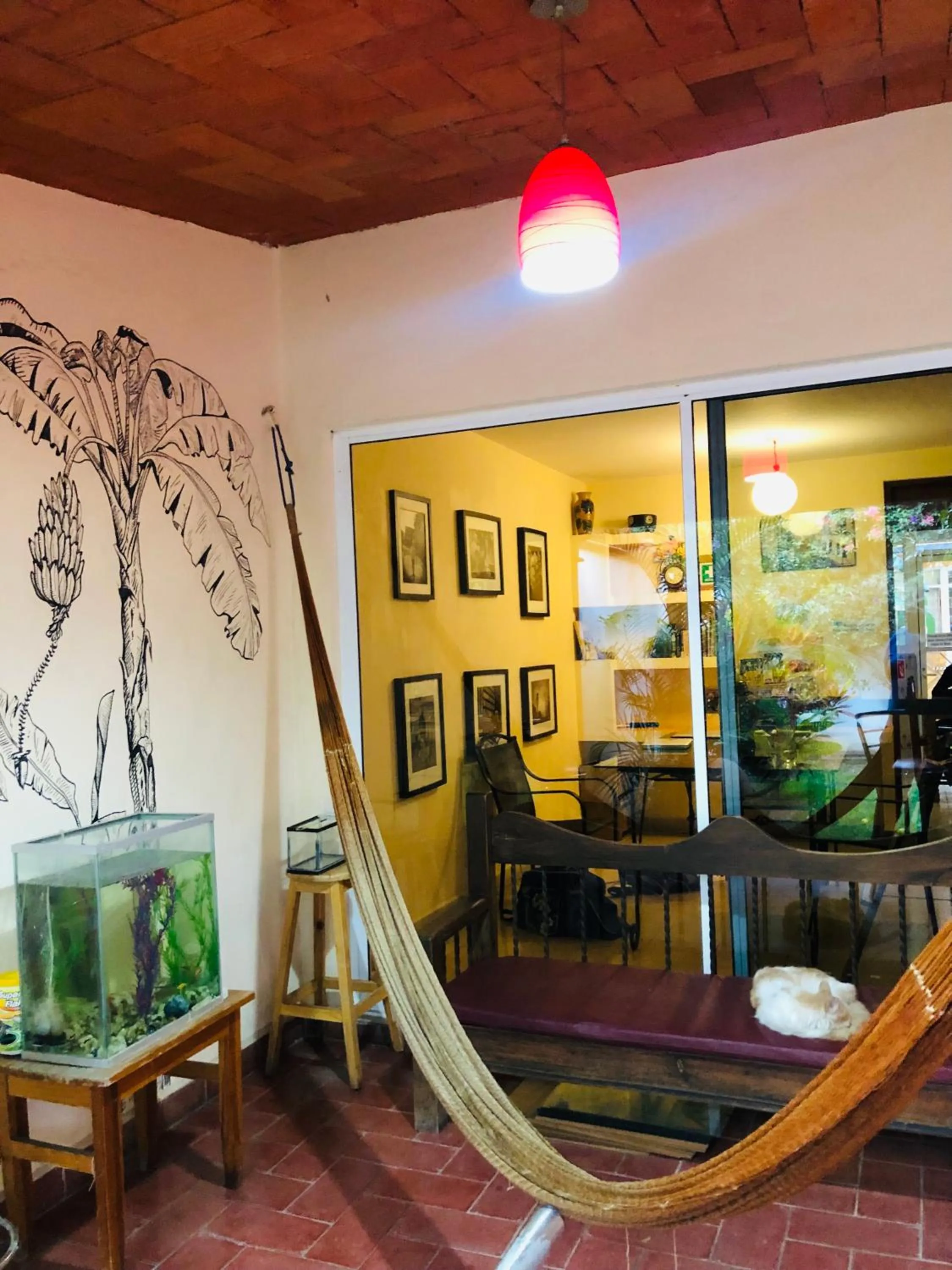 Seating area in Los Nardos Hostel -pet friendly-