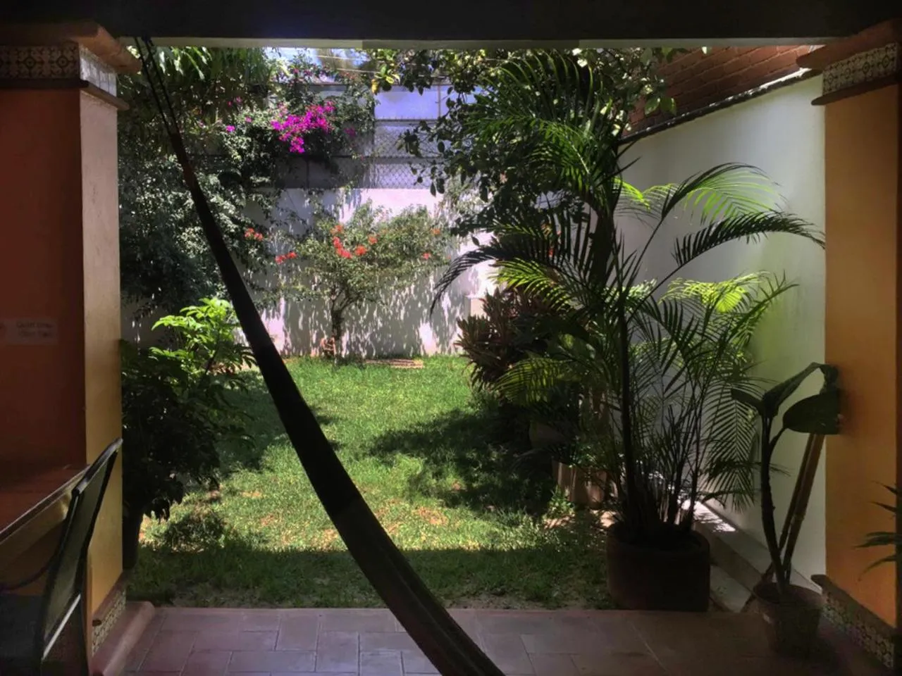 Garden in Los Nardos Hostel -pet friendly-
