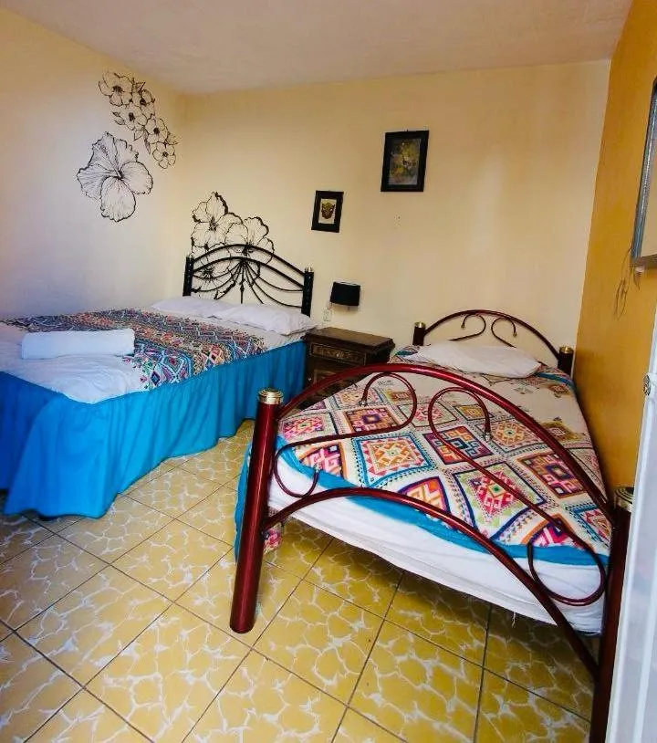 Bed in Los Nardos Hostel -pet friendly-