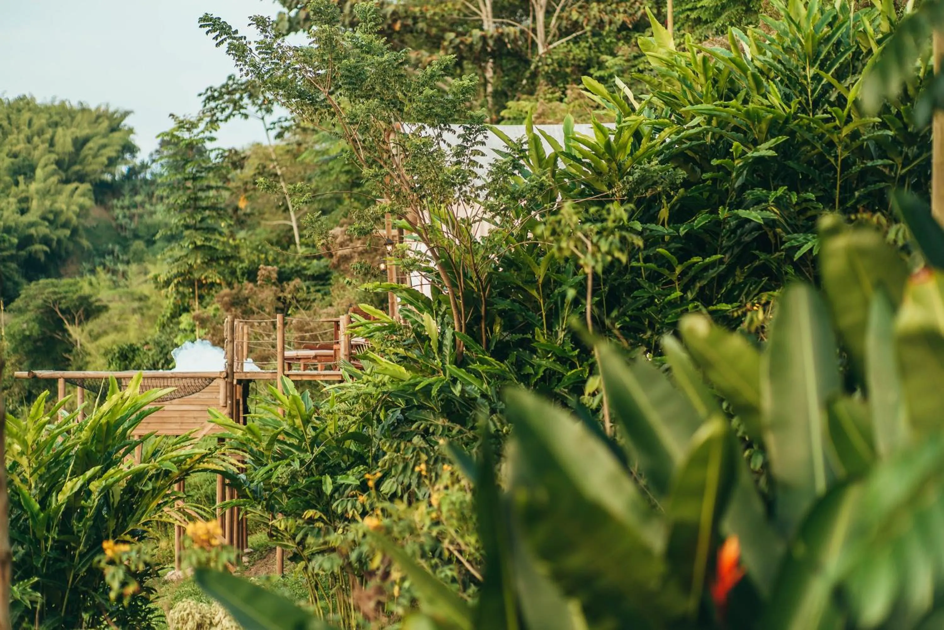 Garden view in Glamping Entre Rios