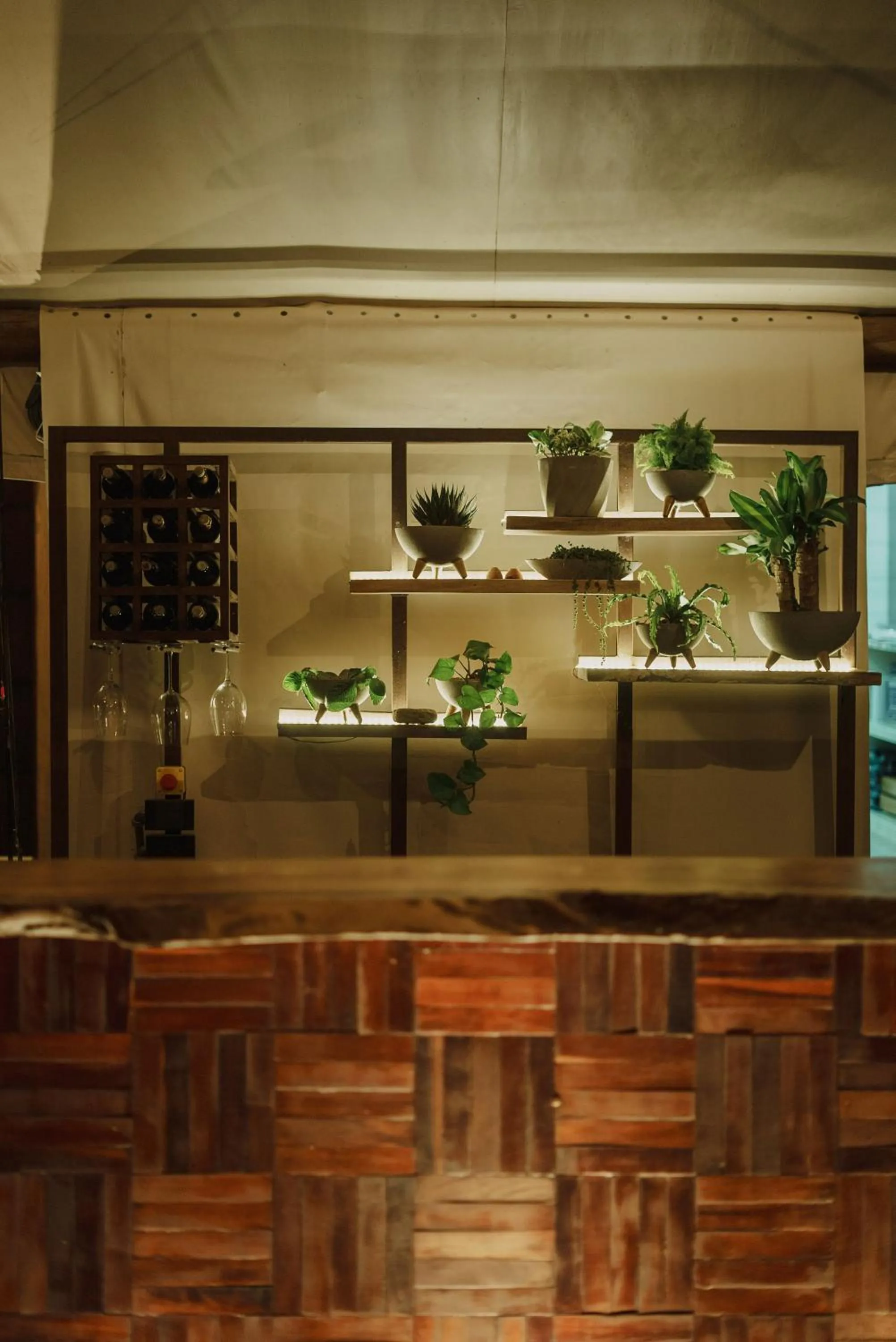 Lounge or bar in Glamping Entre Rios