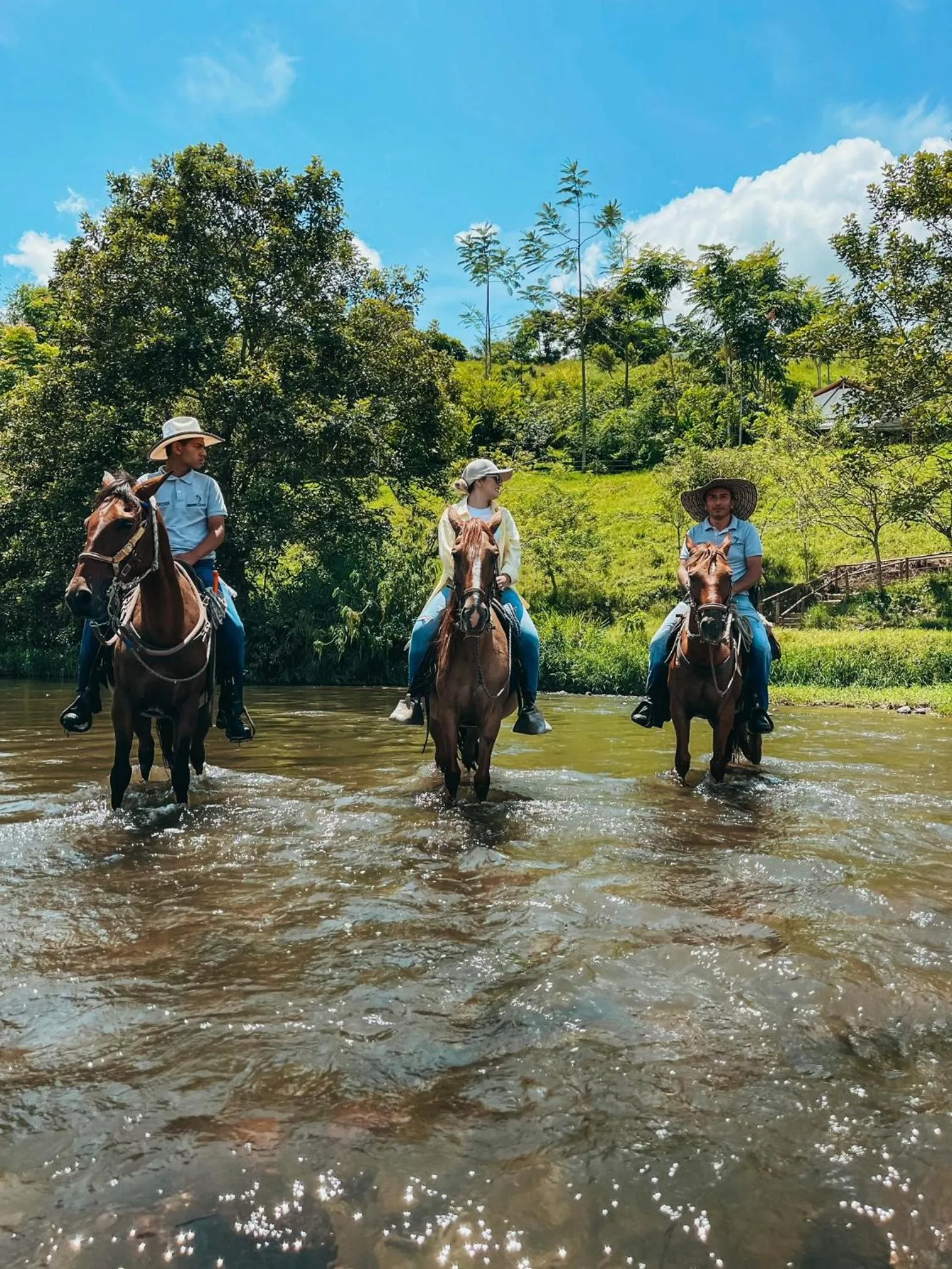 Horse-riding in Glamping Entre Rios