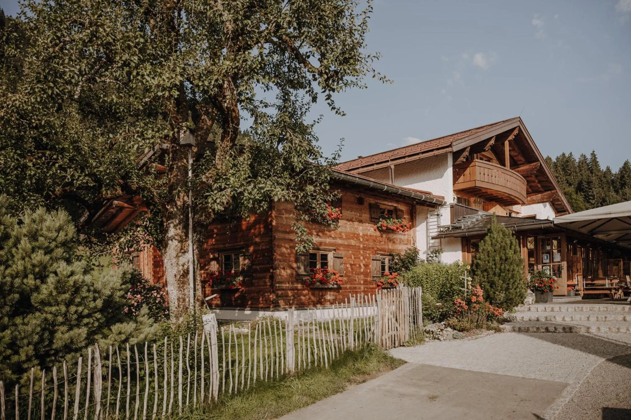 Property building in Alpe Dornach