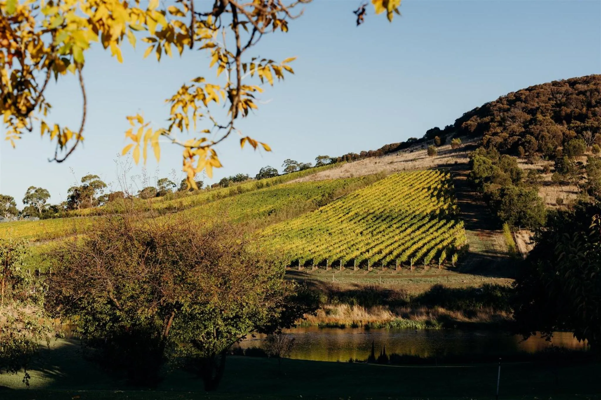 Prospect Country House & Restaurant