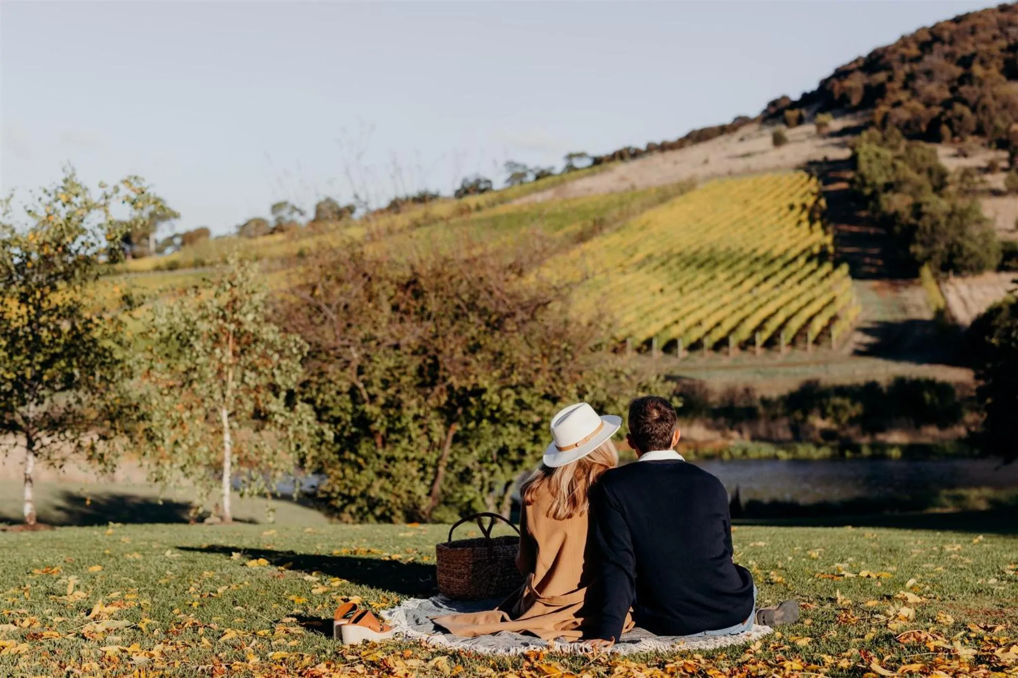 Natural landscape in Prospect Country House & Restaurant