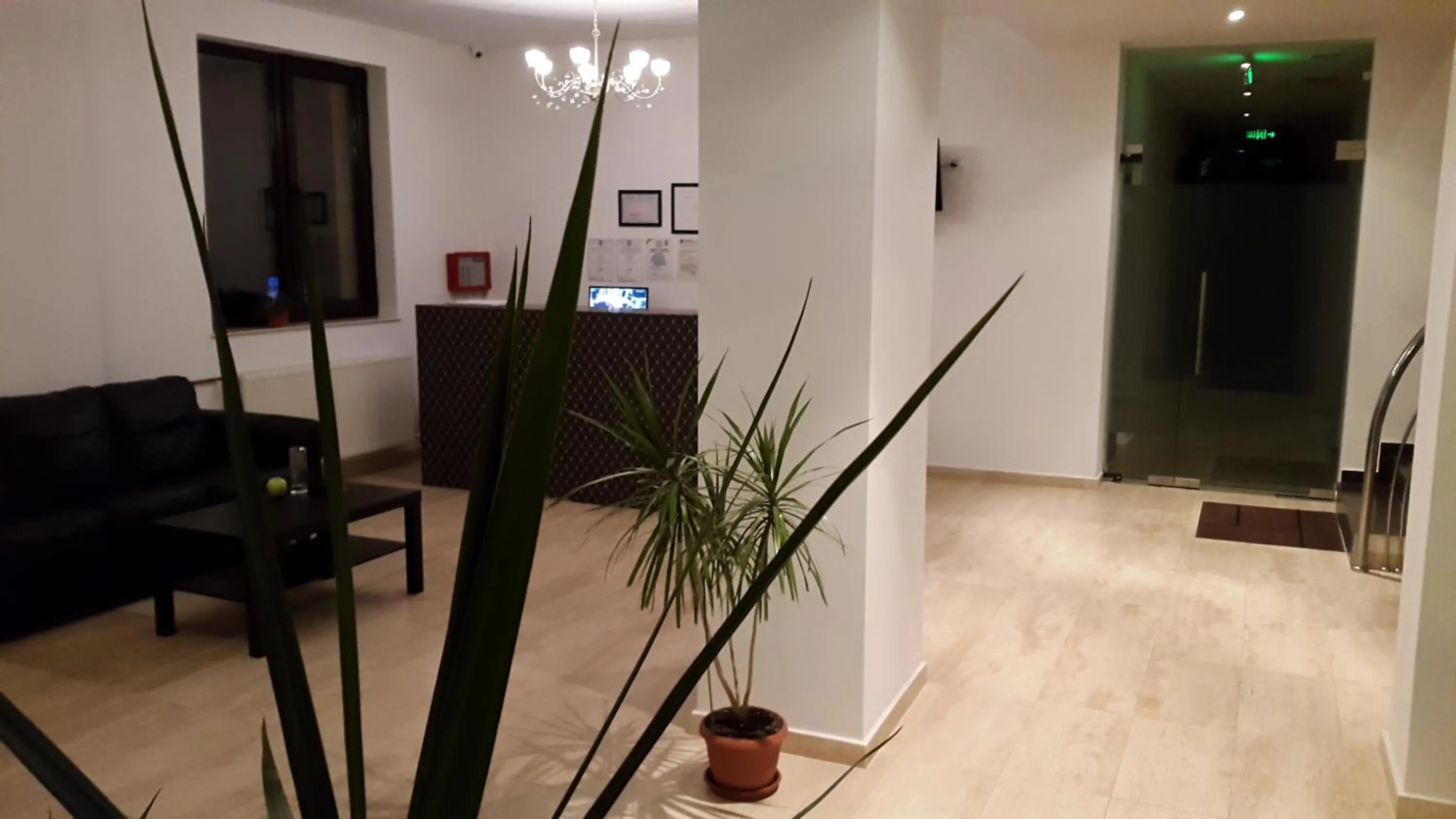 Garden in Hotel Cristian