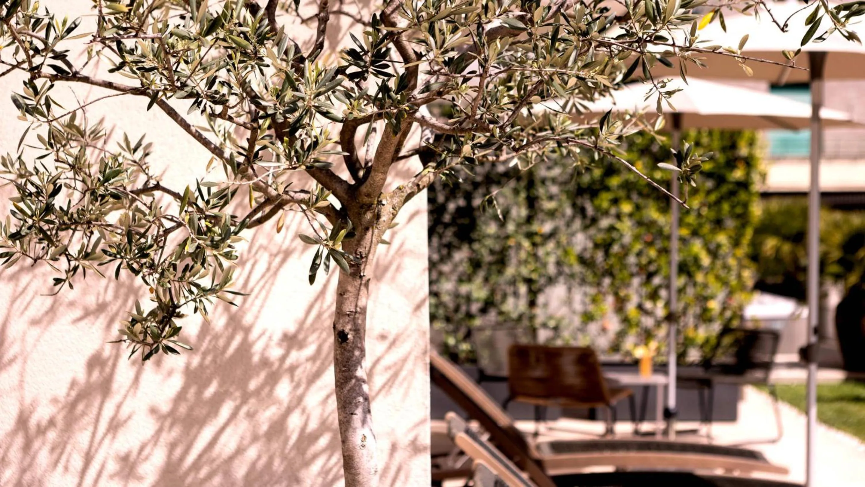 Summer in City Hotel Merano