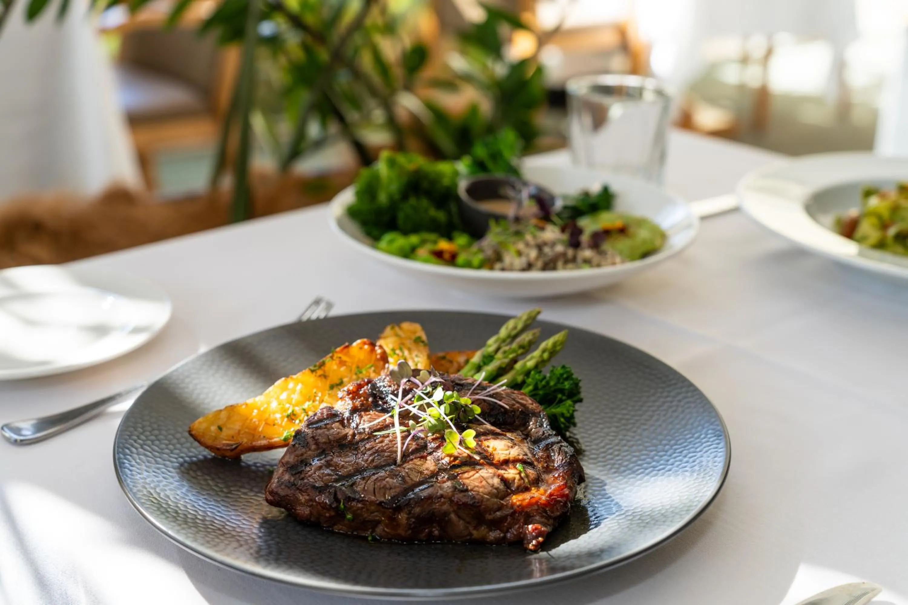 Restaurant/places to eat in Pullman Cairns International