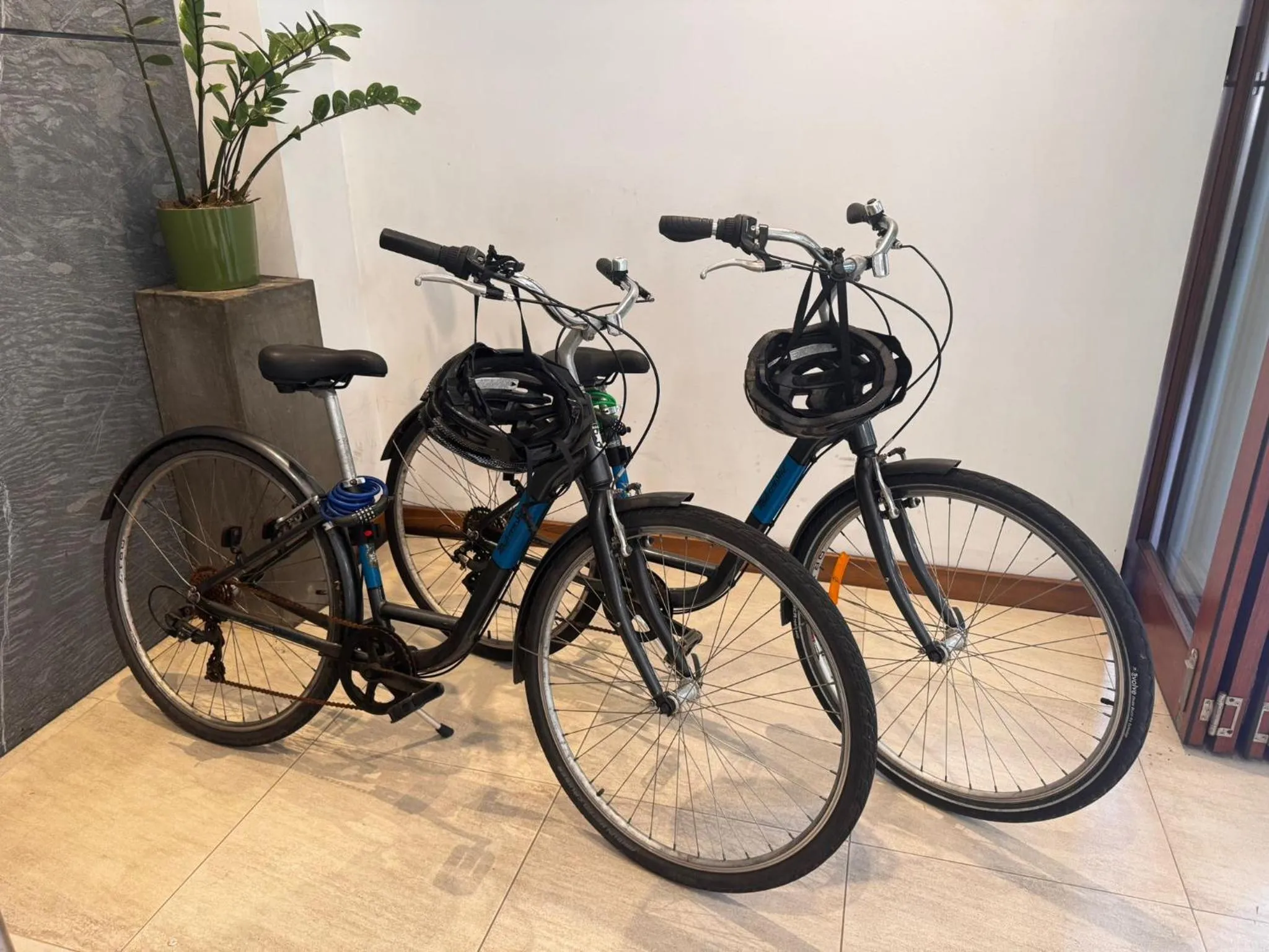 Activities in Pullman Palm Cove Sea Temple Resort & Spa