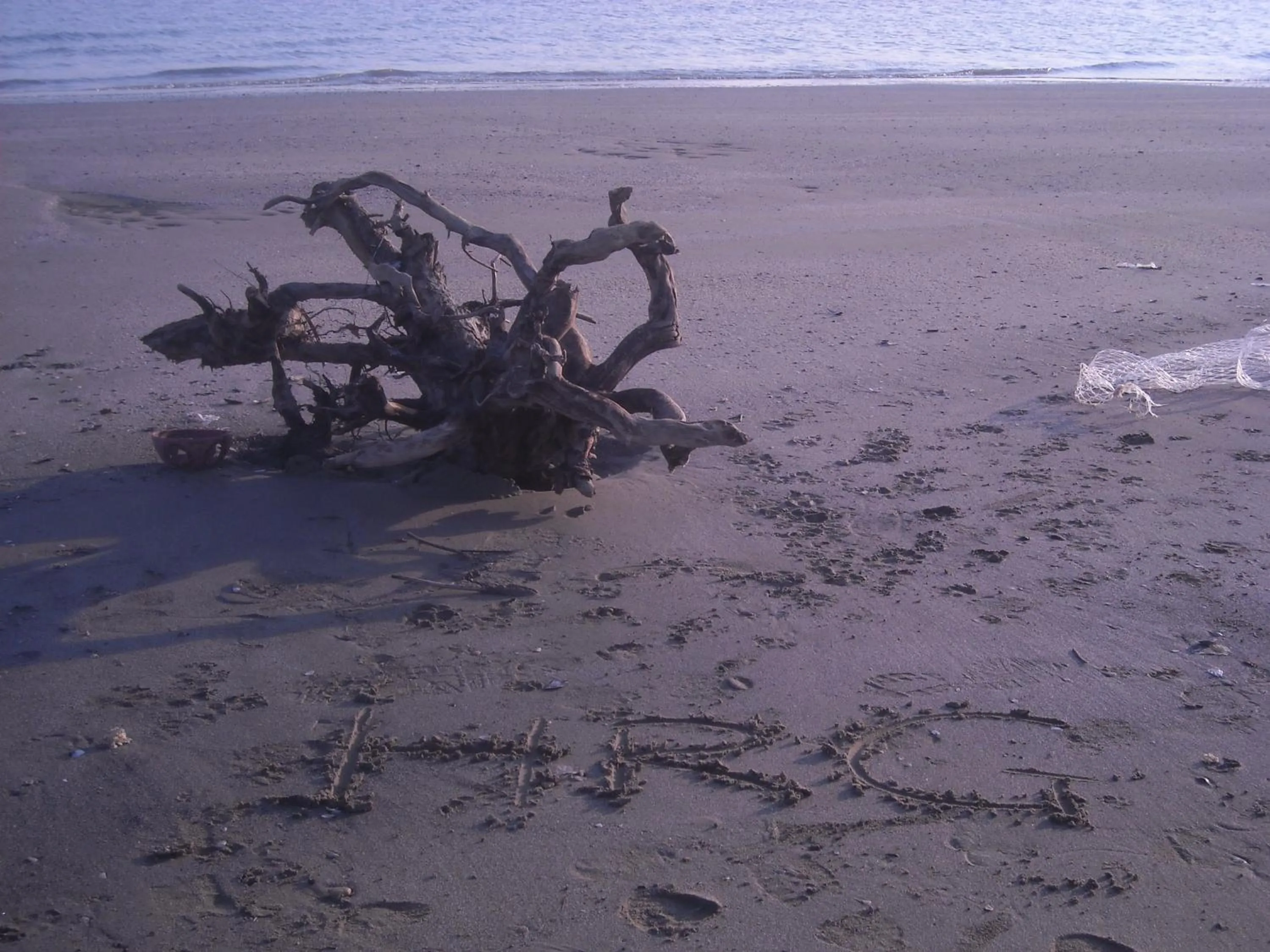 Beach in Hotel Residenza Giardino
