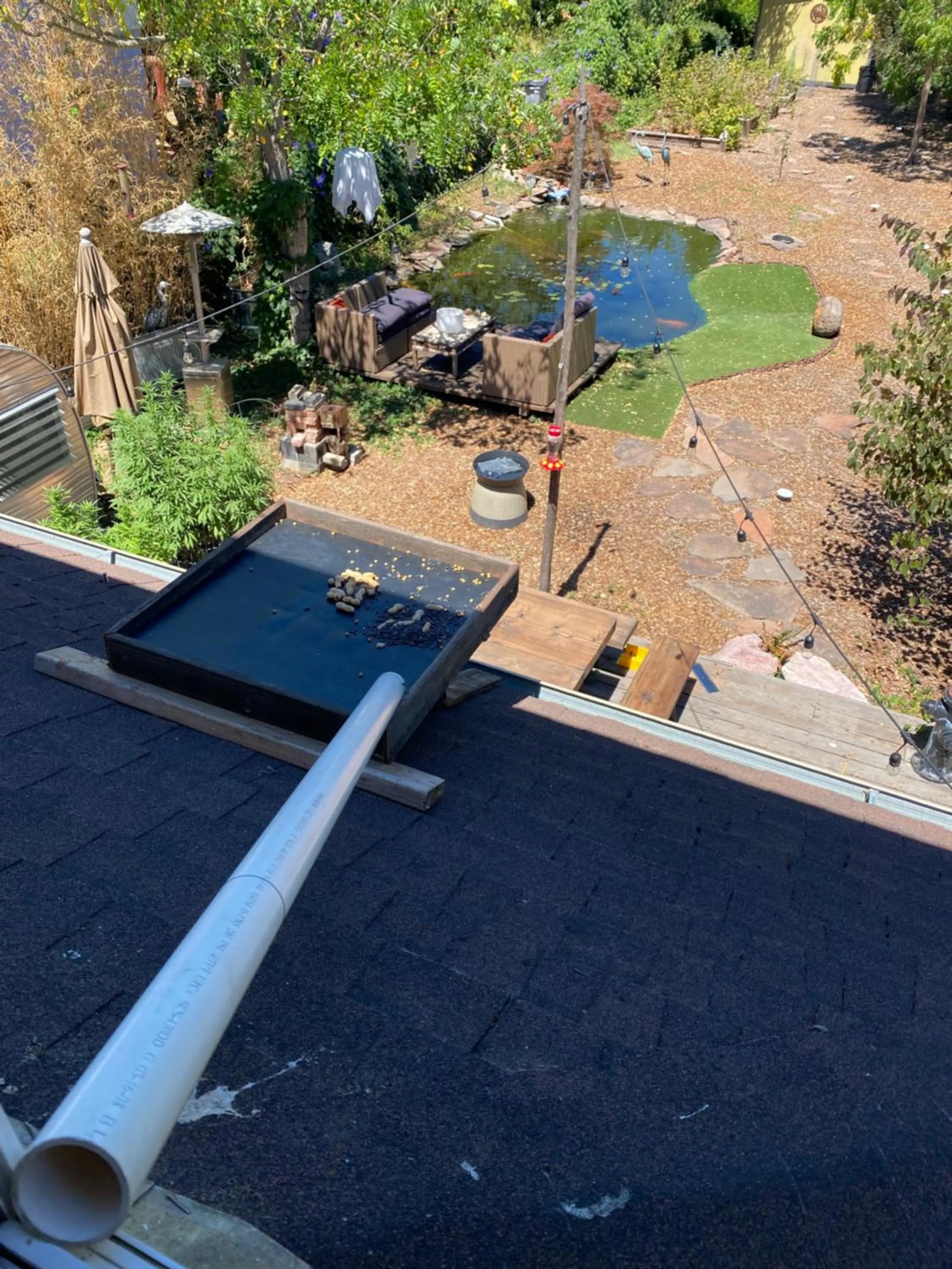 Bird's eye view in My Big Art Project