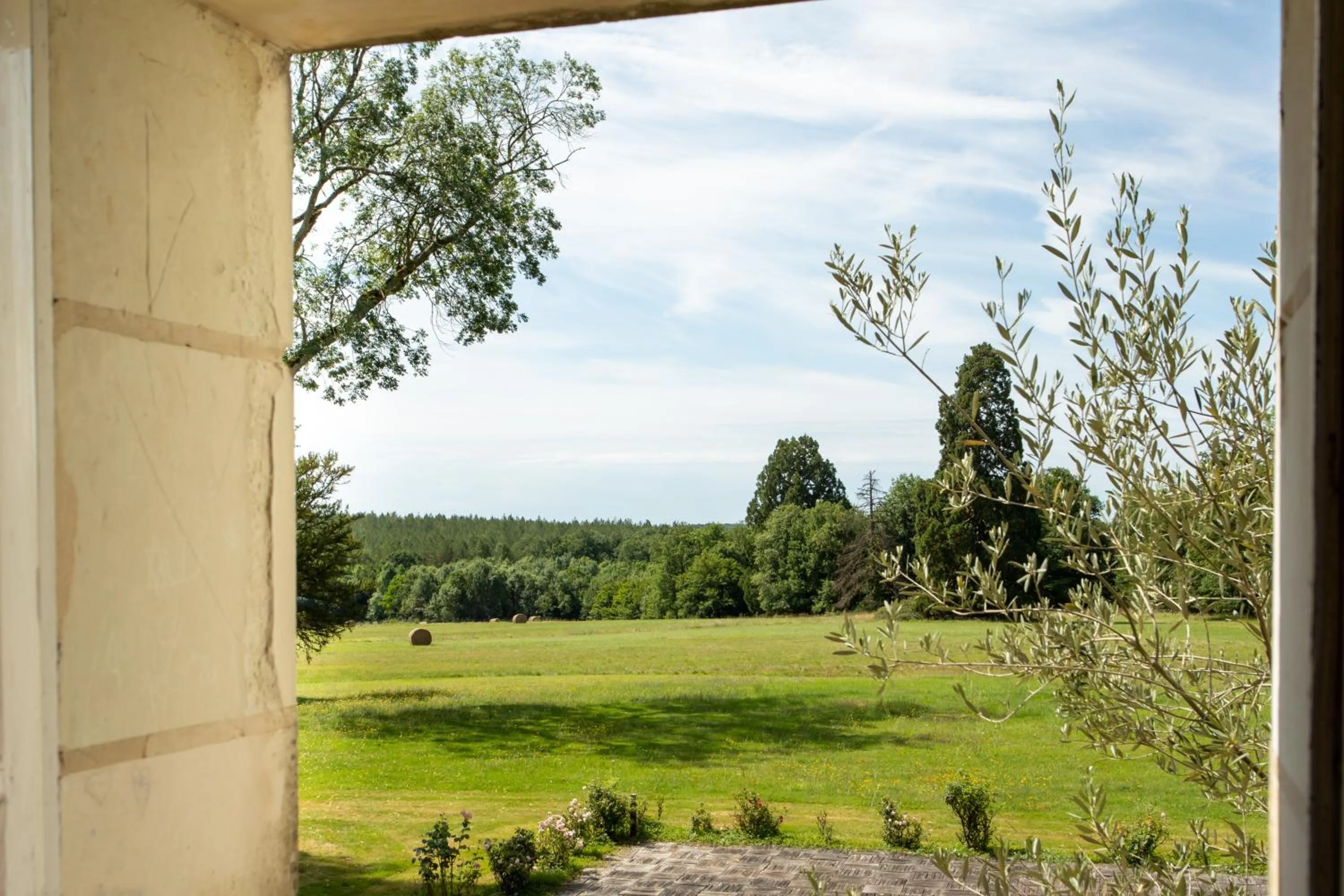 View (from property/room) in Château De Razay