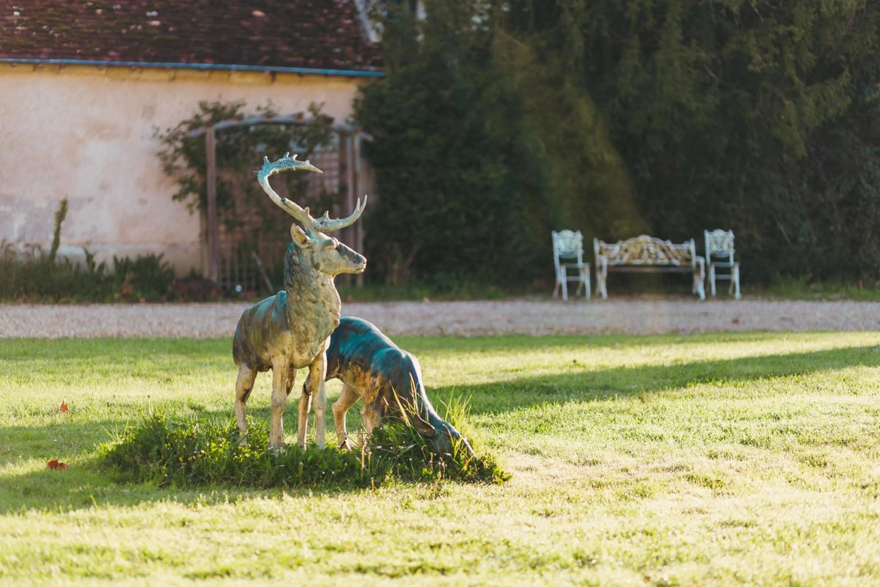 Garden in Château De Razay