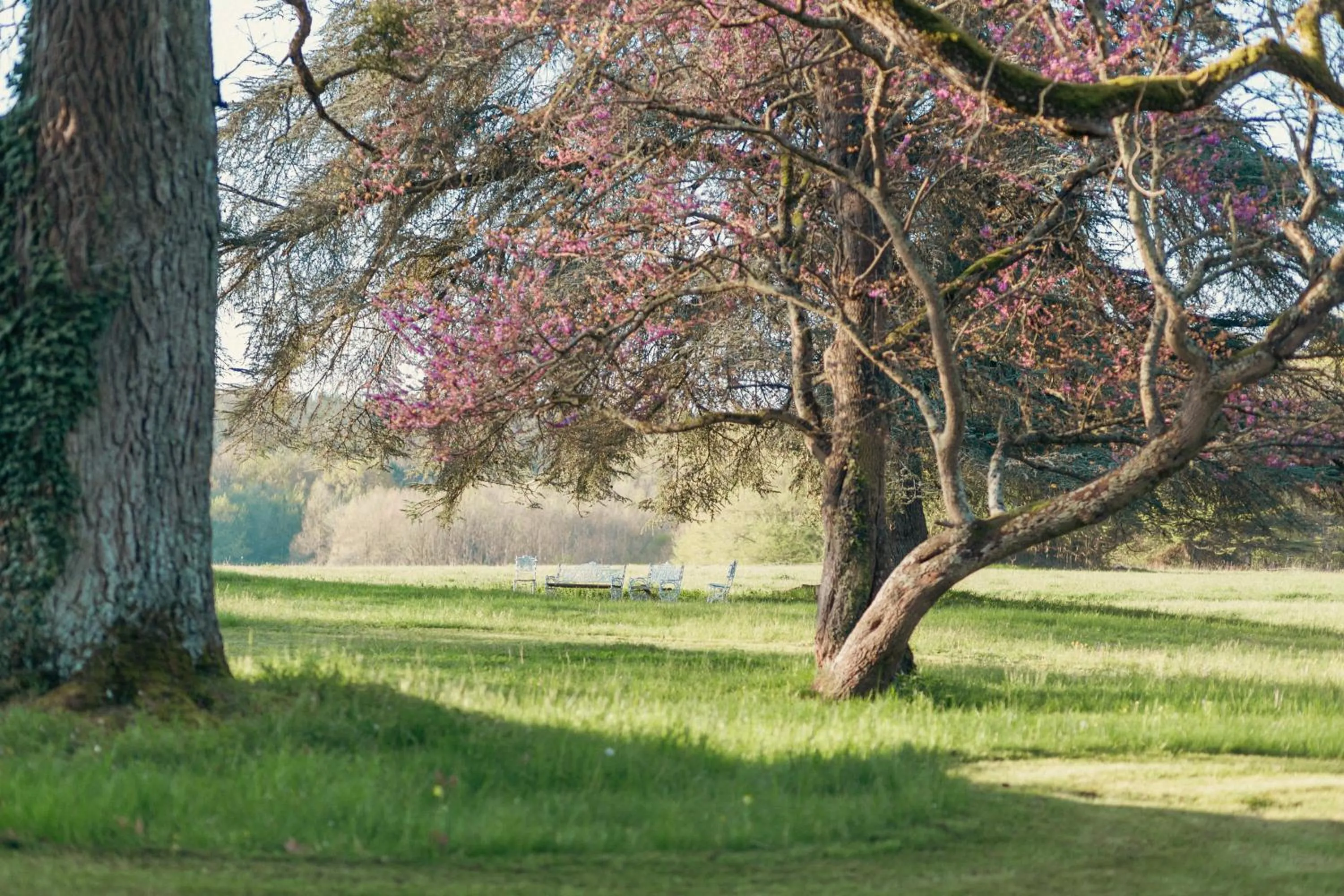 Spring in Château De Razay