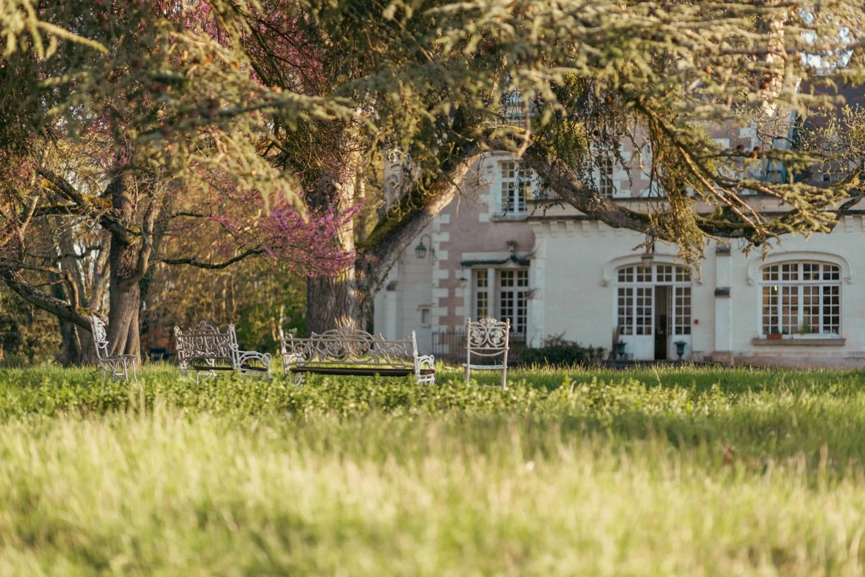 Natural landscape in Château De Razay