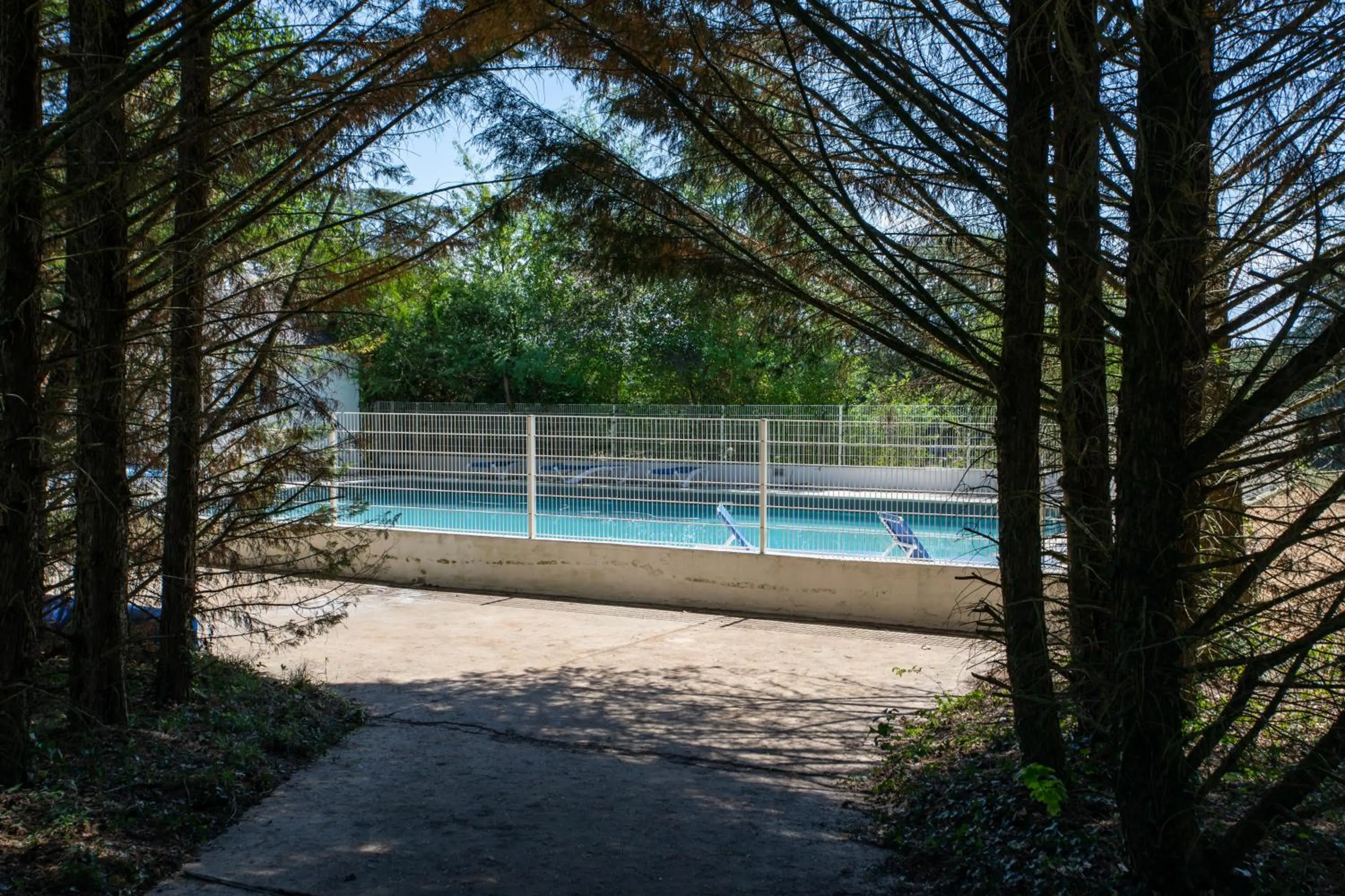 Swimming pool in Château De Razay