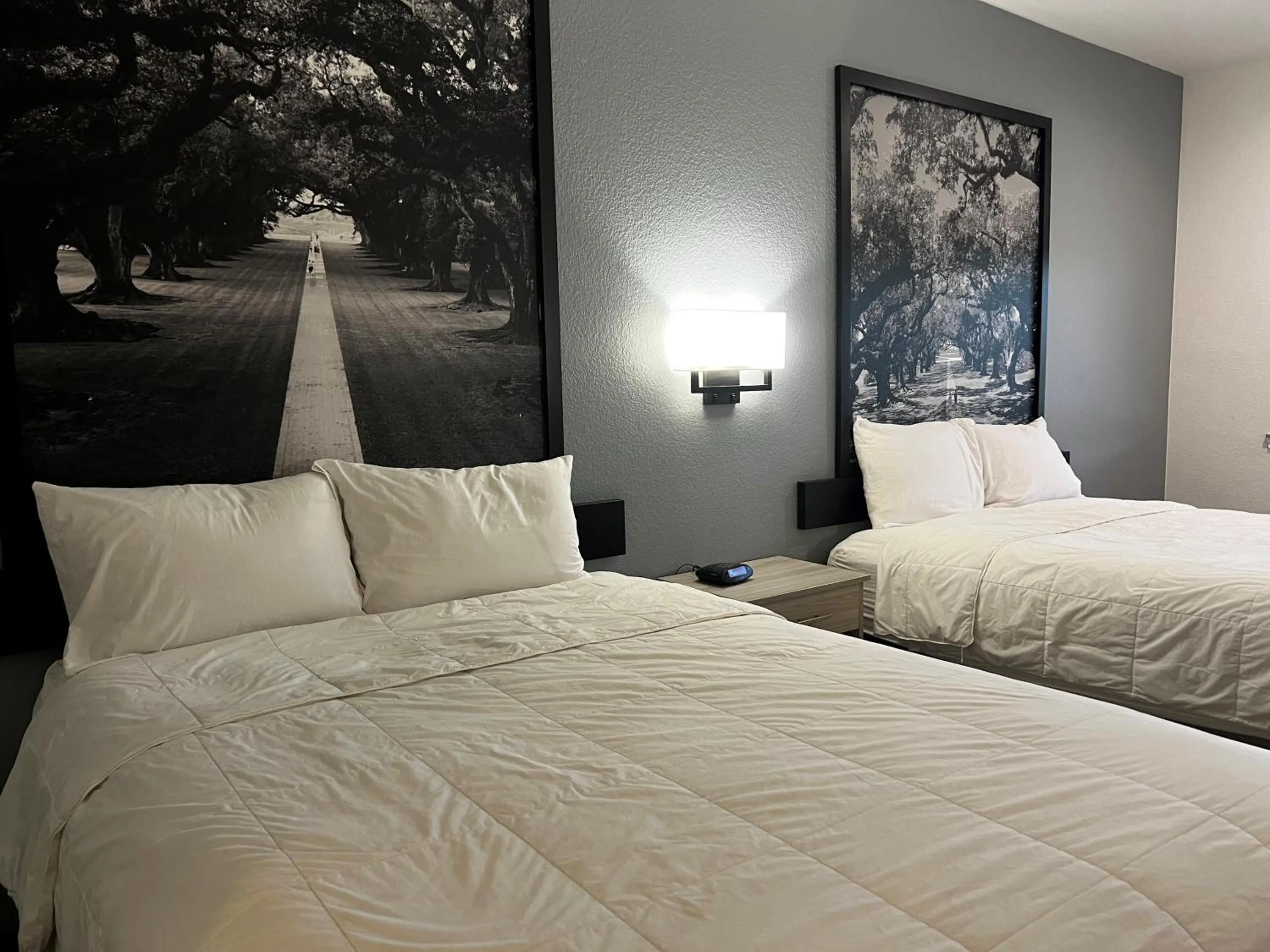 Bed in Super 8 by Wyndham Rosenberg TX