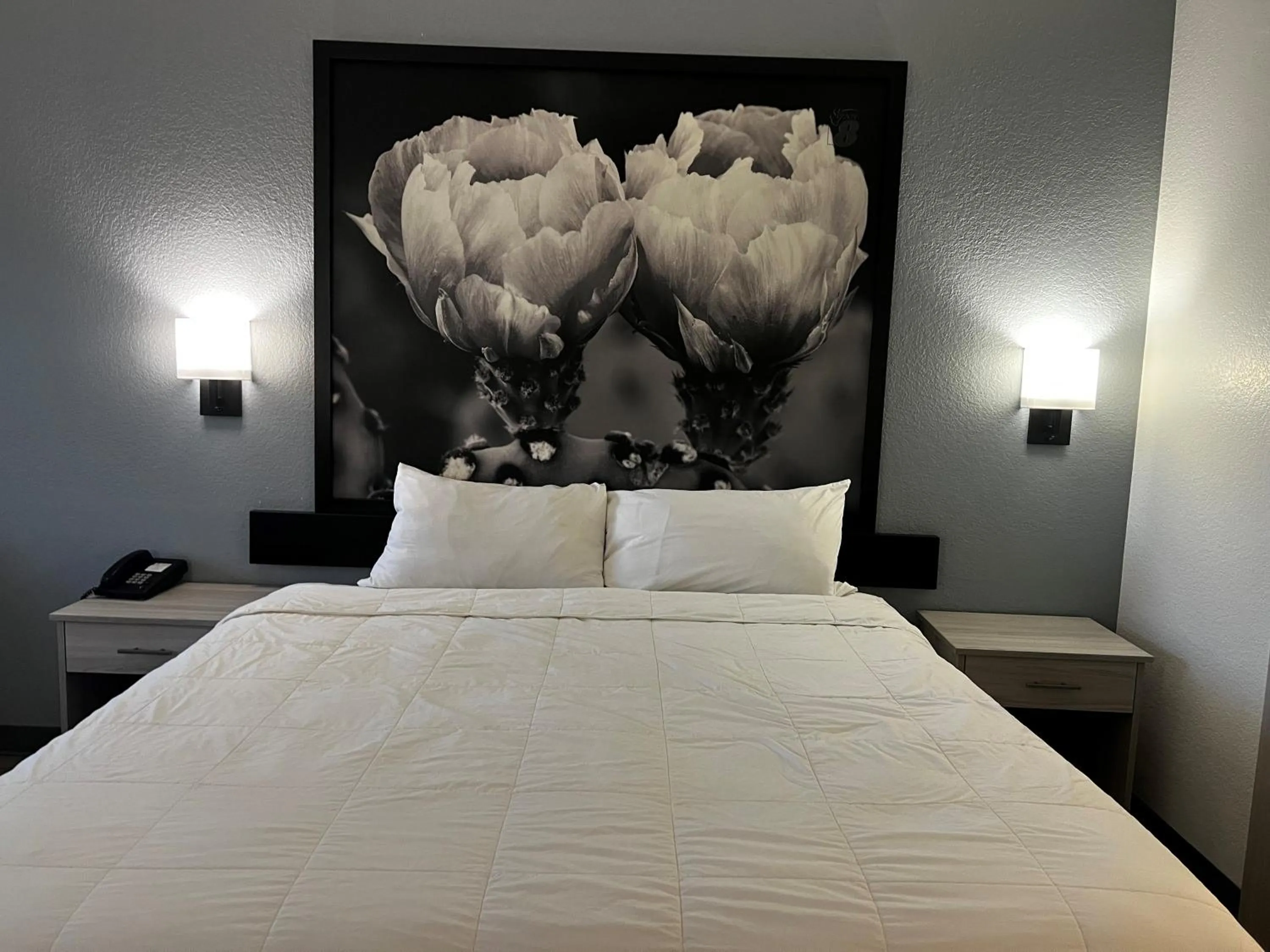 Bed in Super 8 by Wyndham Rosenberg TX