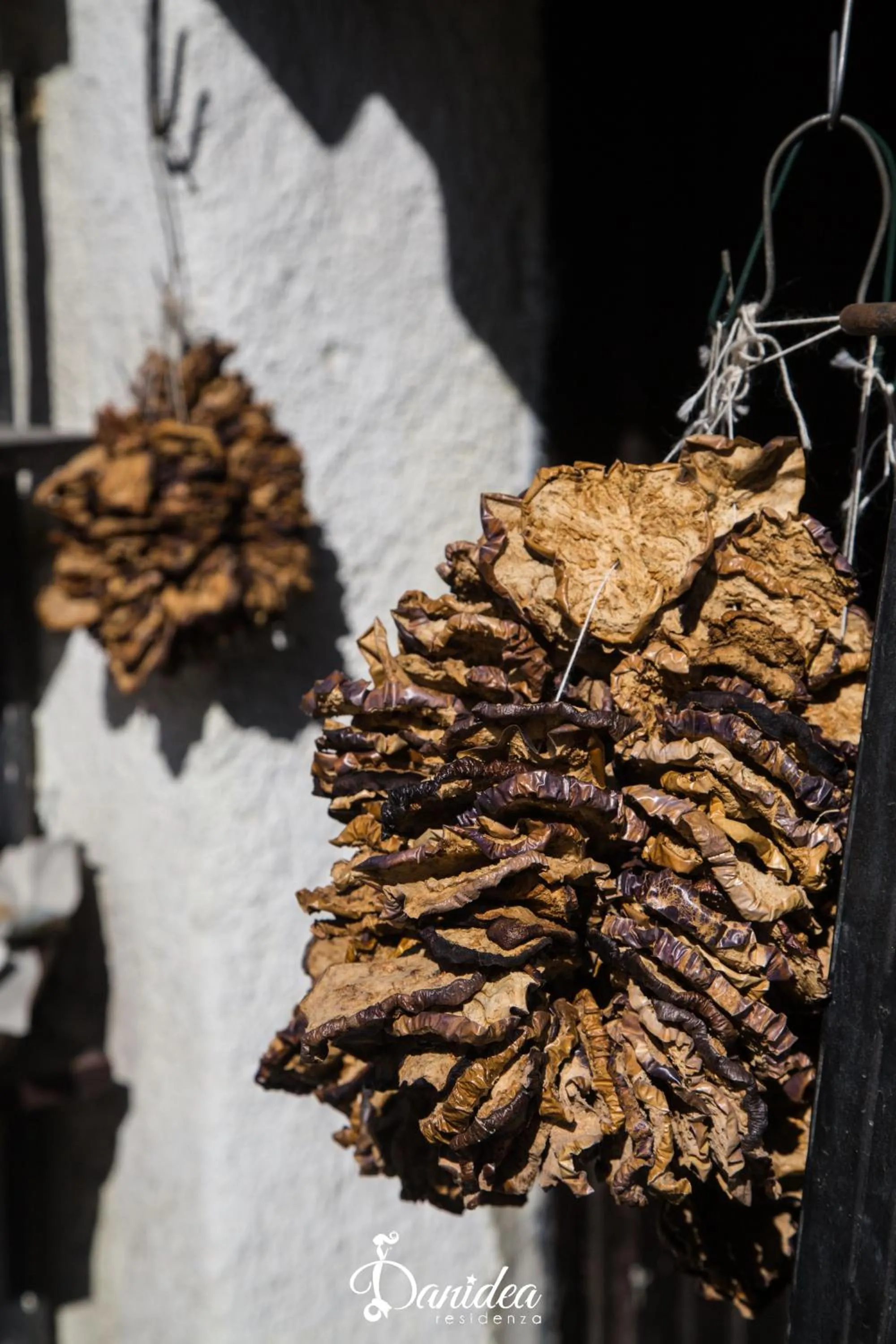 Other in Residenza Danidea