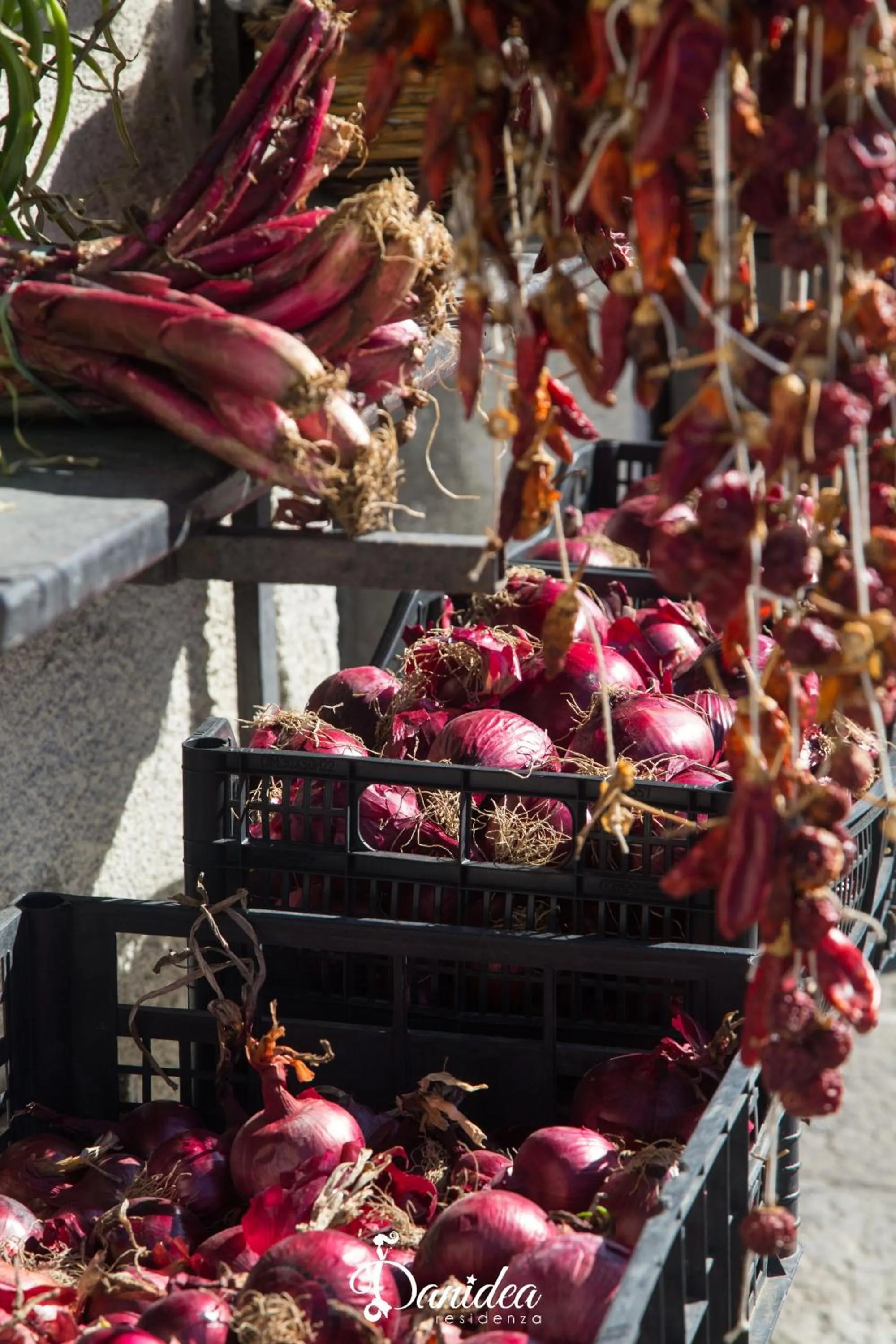 Other in Residenza Danidea