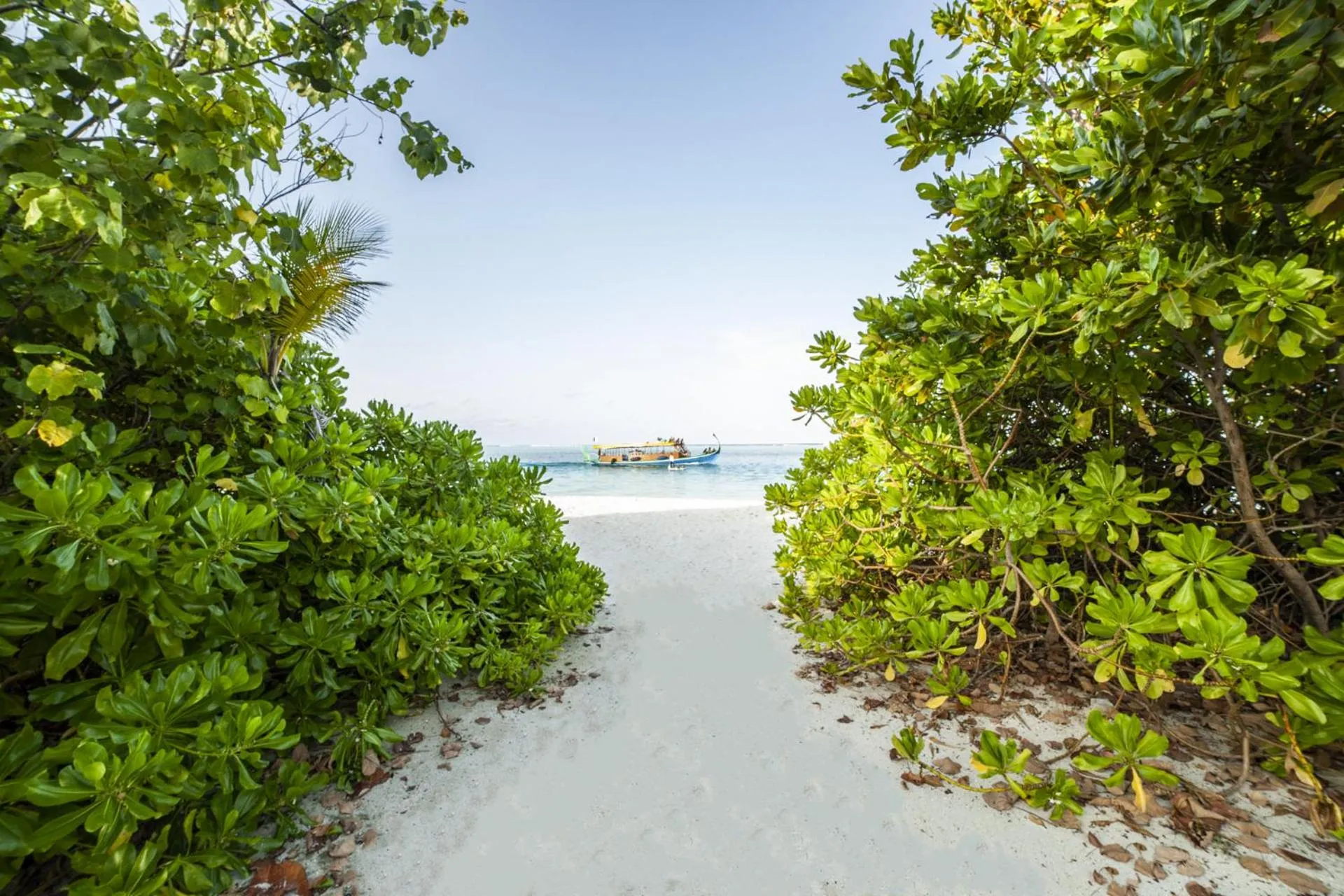 Beach in Portia Hotel & Spa