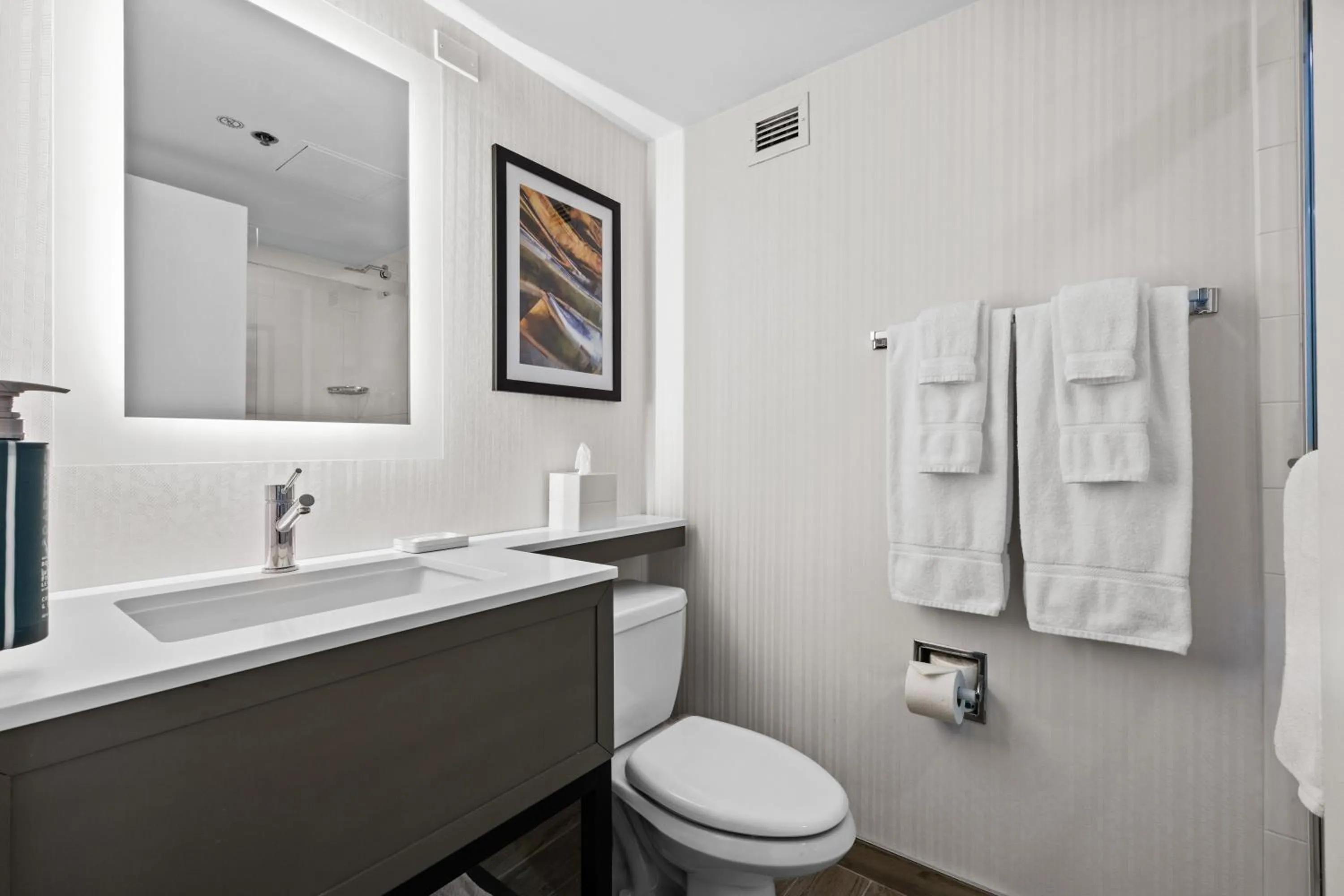 Toilet in Radisson Hotel JFK Airport