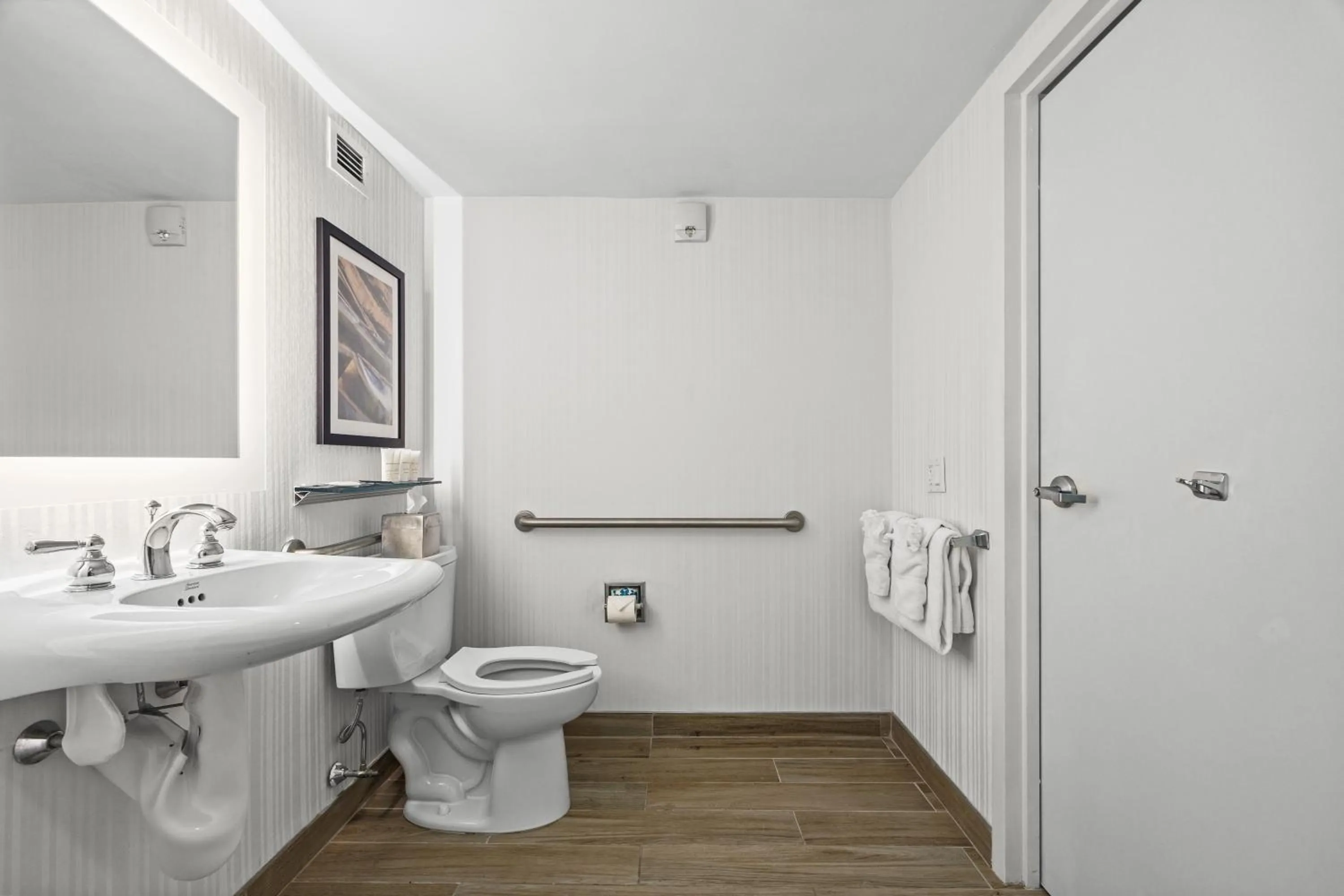 Toilet in Radisson Hotel JFK Airport