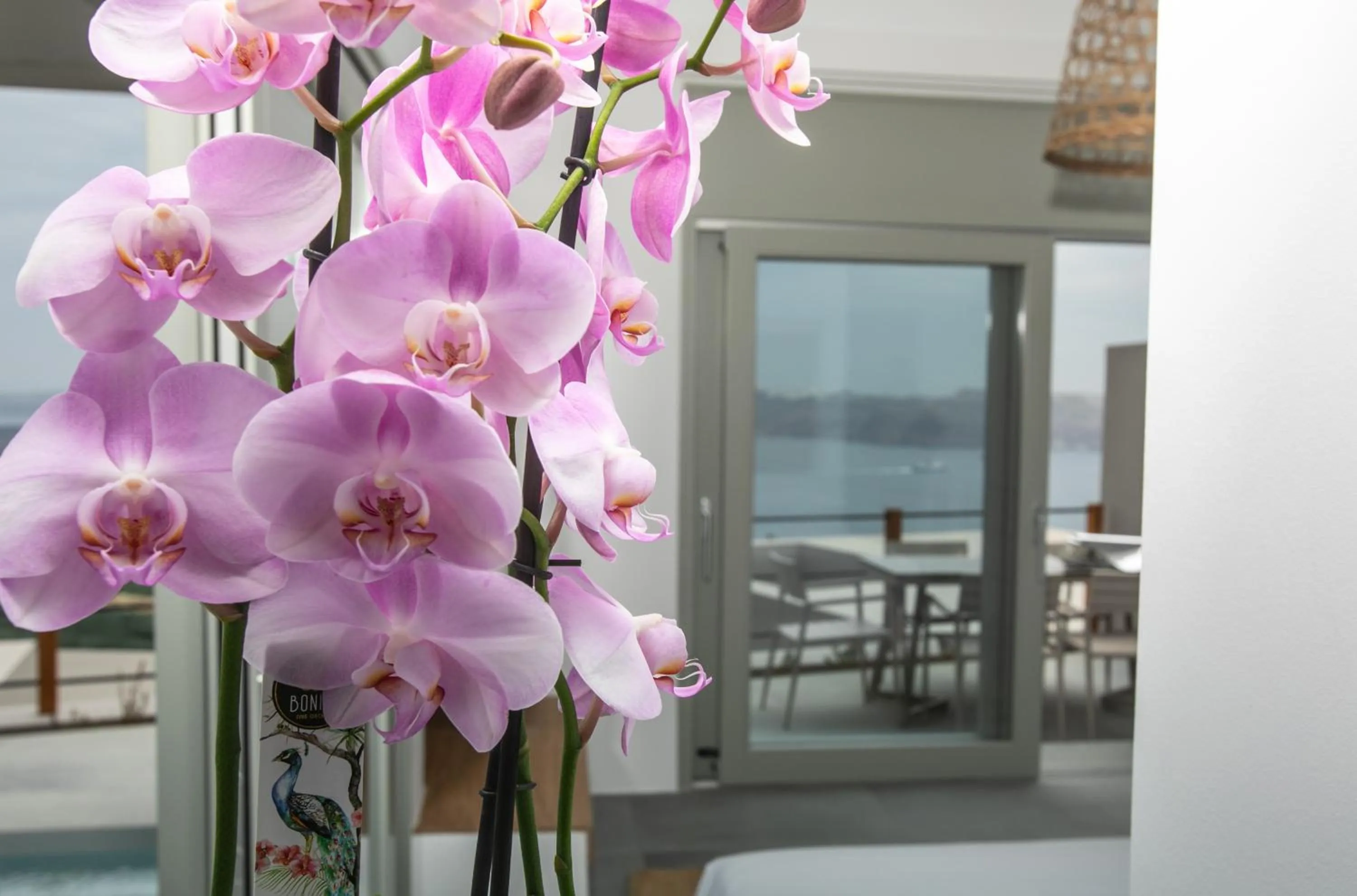 Balcony/Terrace in Melidonia Suites