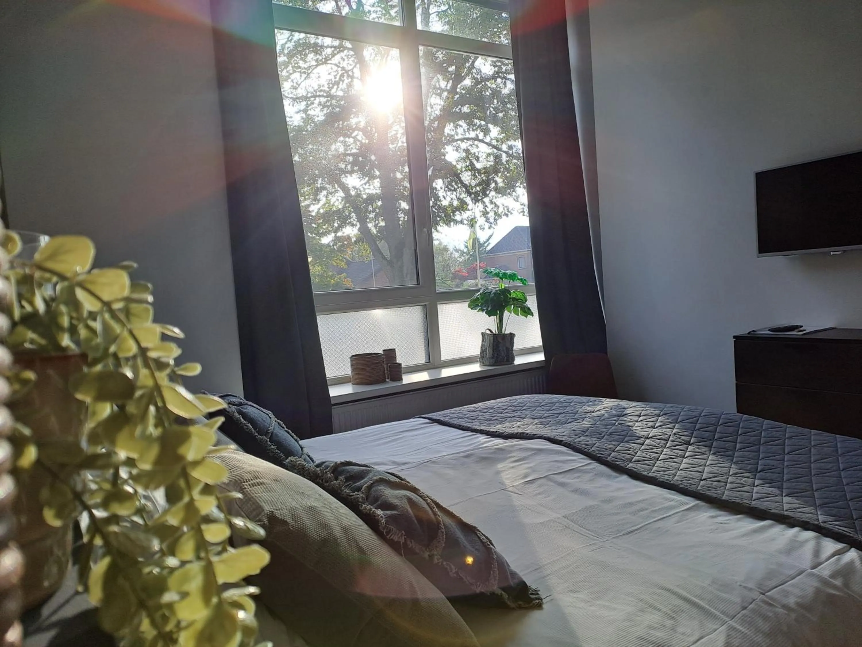 Bed in B&B de Wilhelminaschool