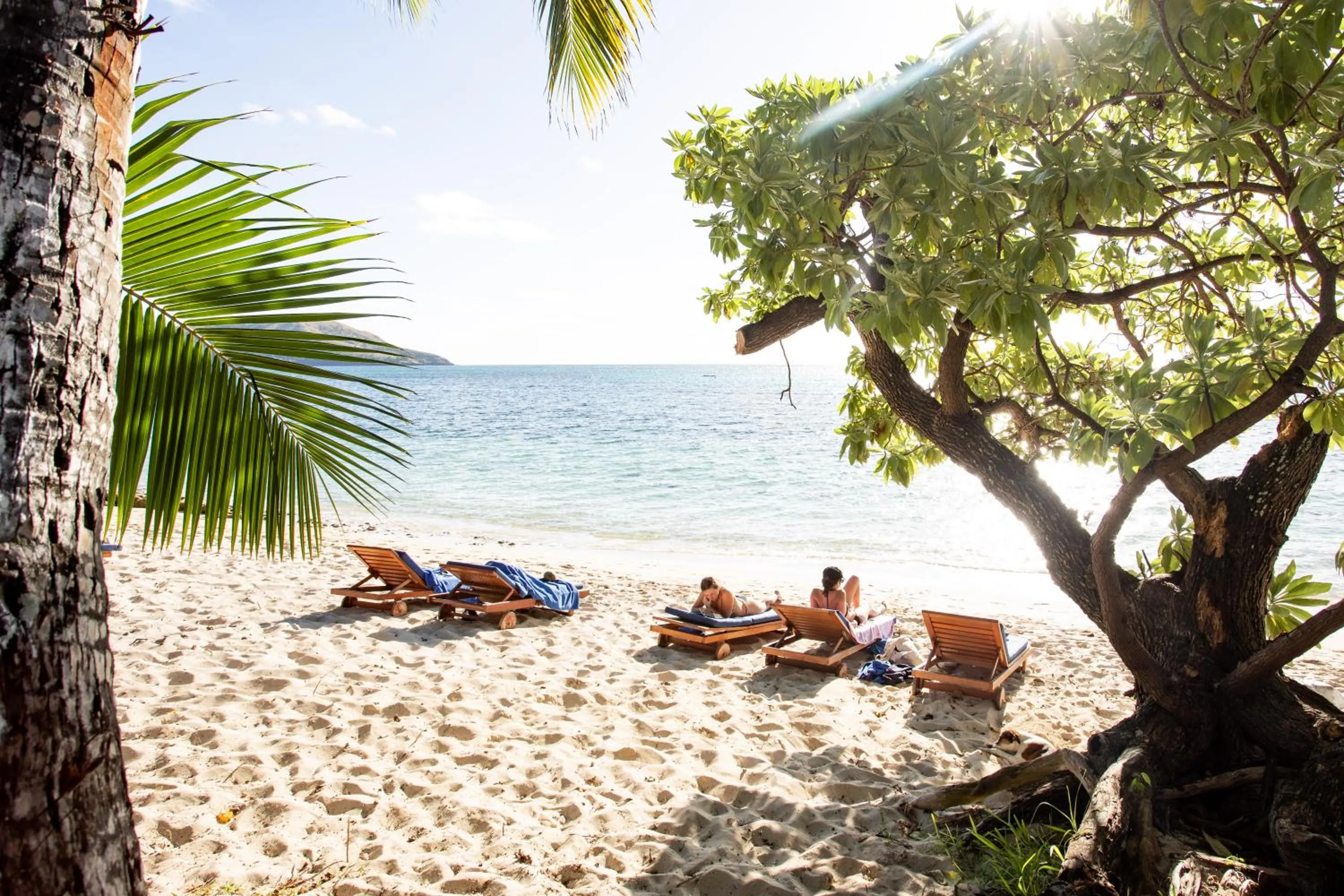 Natural landscape in Blue Lagoon Beach Resort