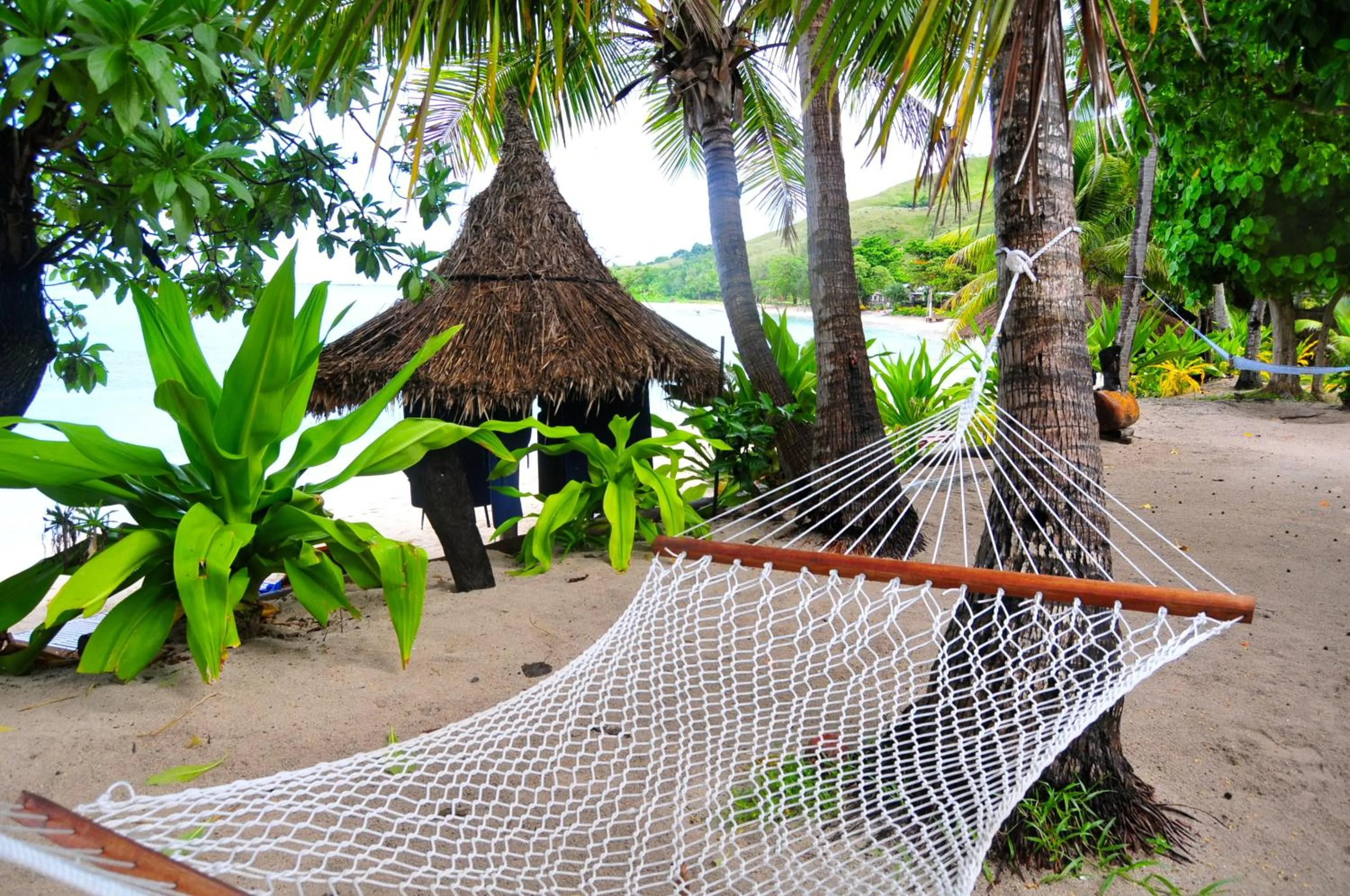 Garden in Blue Lagoon Beach Resort