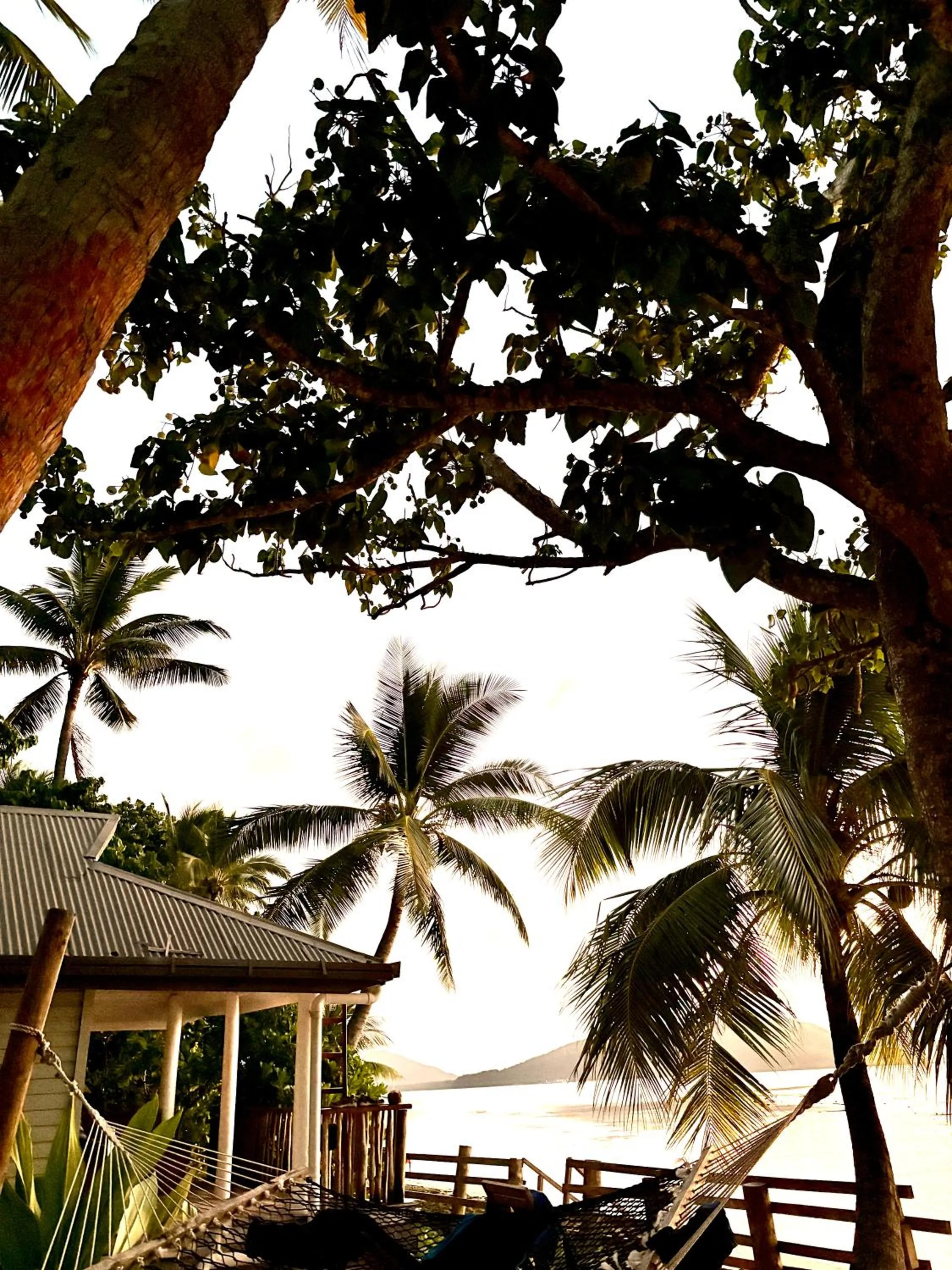 Natural landscape in Blue Lagoon Beach Resort