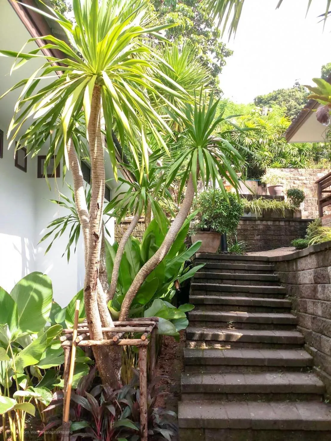 Facade/entrance in Kata Tranquil Villa - SHA Plus