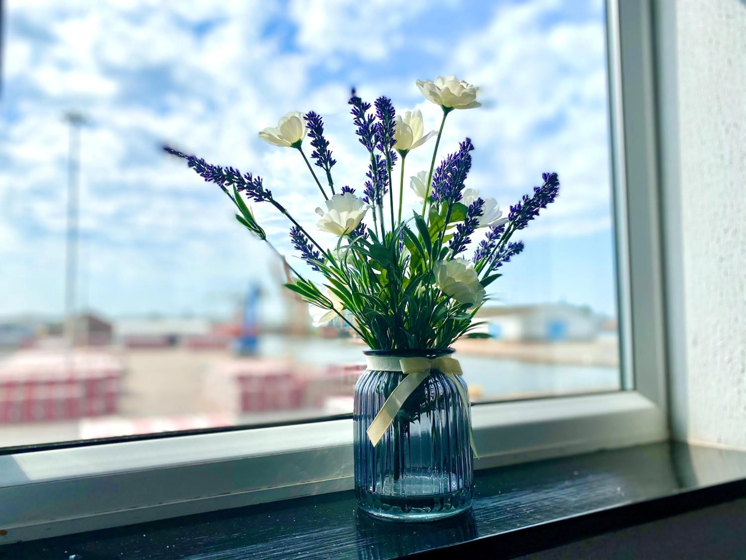 City view in PHOENIX Apartments