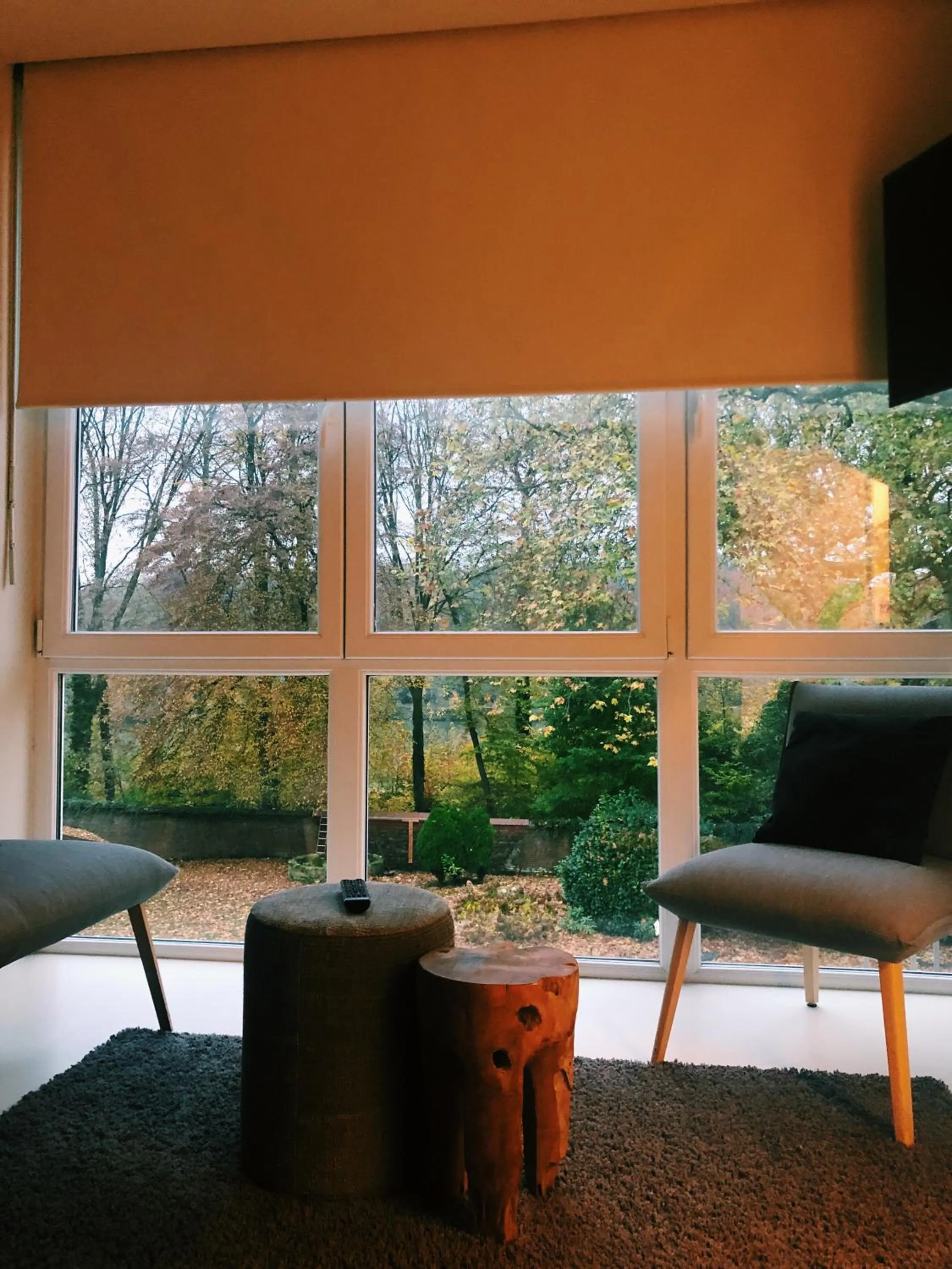 Auberge du Vieux Cedre, Enghien-Belgique