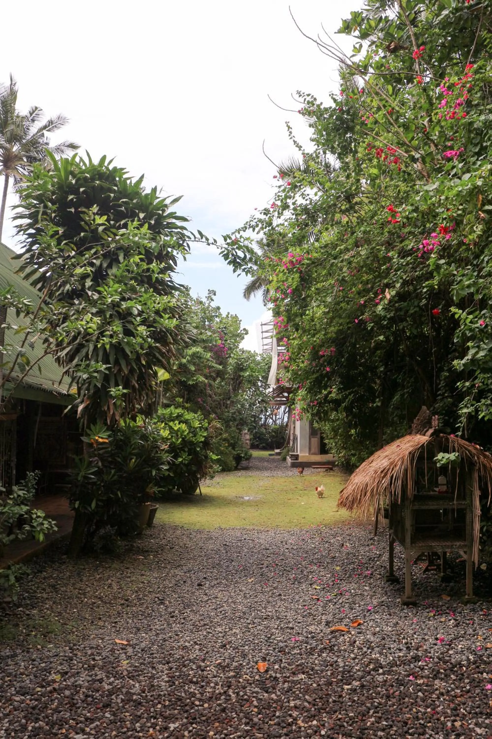 Garden in Pondok Pisang Candidasa