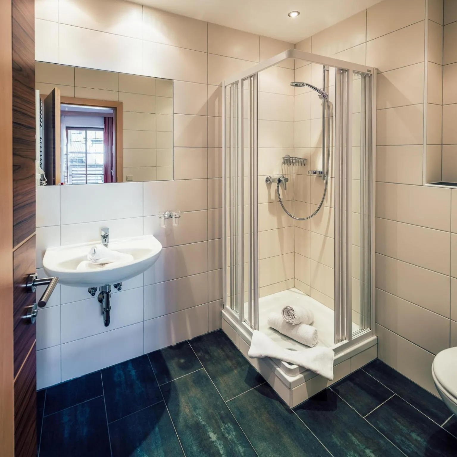 Bathroom in Die Reblaus