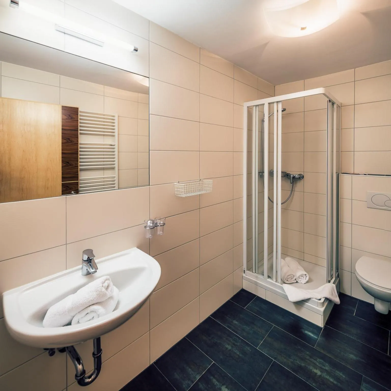 Bathroom in Die Reblaus