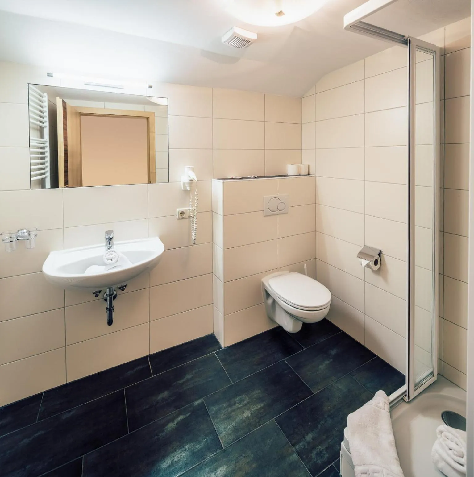 Bathroom in Die Reblaus