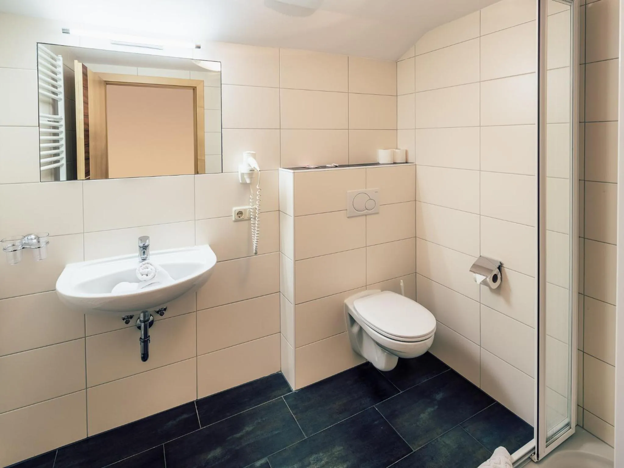 Bathroom in Die Reblaus