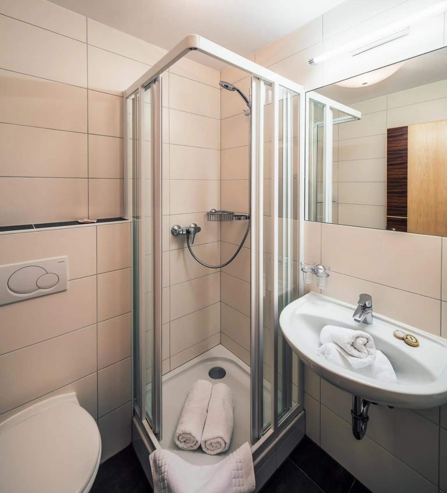 Bathroom in Die Reblaus