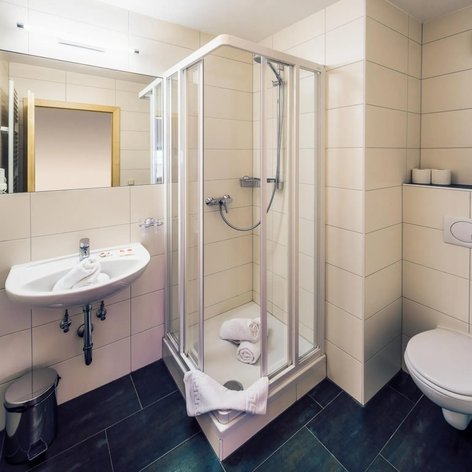 Bathroom in Die Reblaus