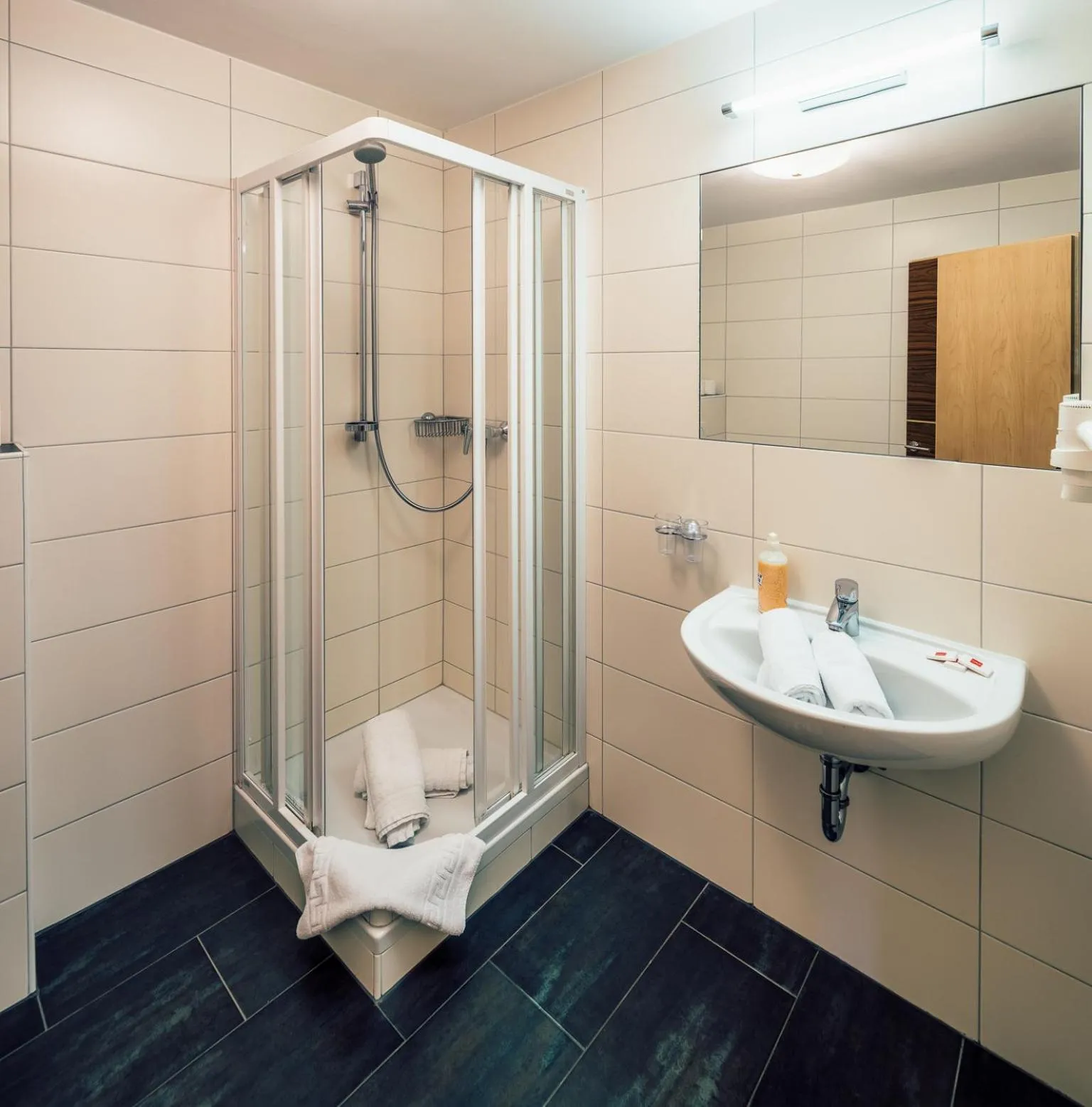 Bathroom in Die Reblaus