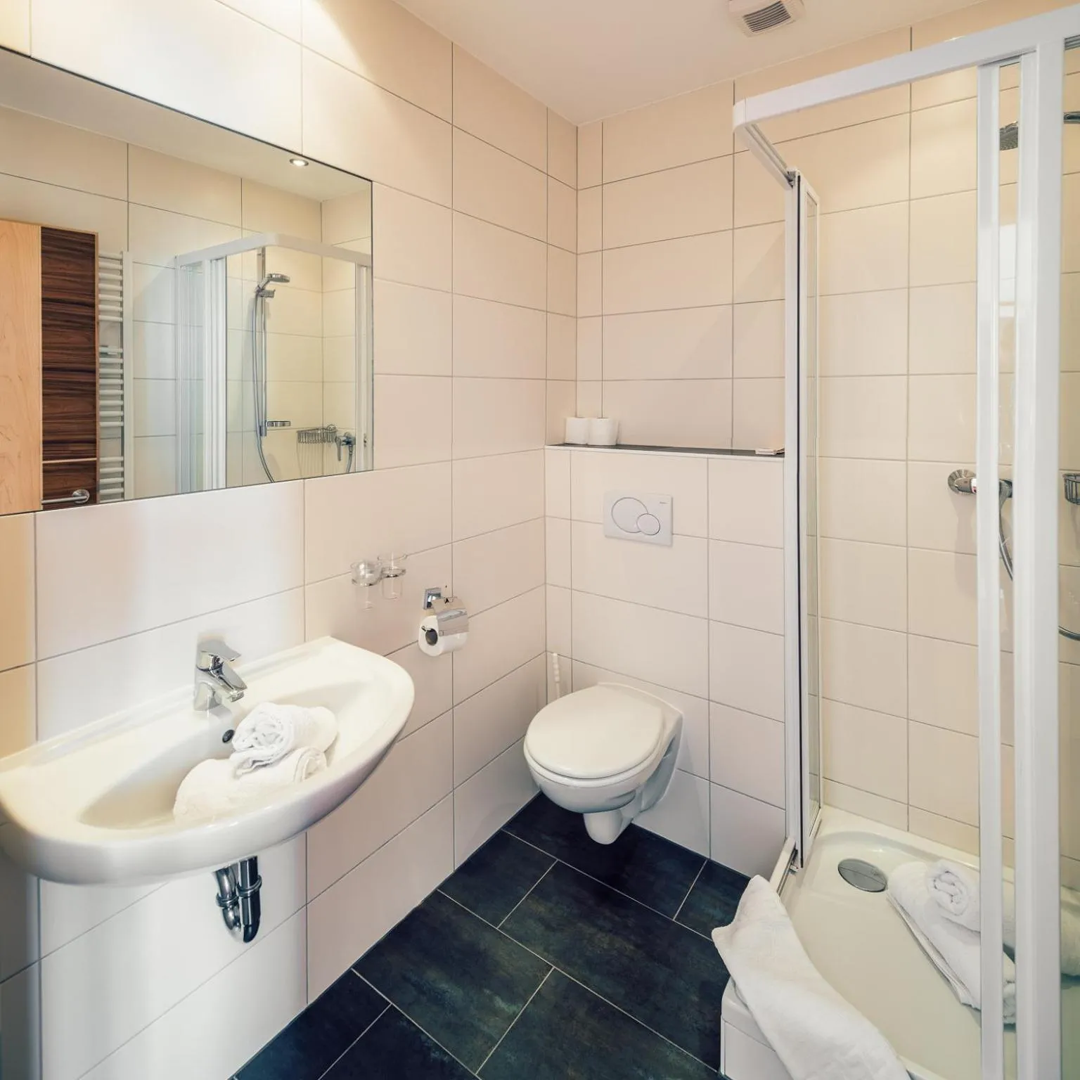 Bathroom in Die Reblaus