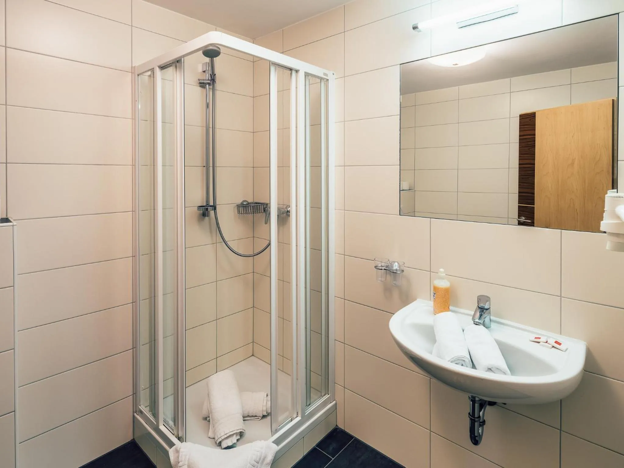 Bathroom in Die Reblaus