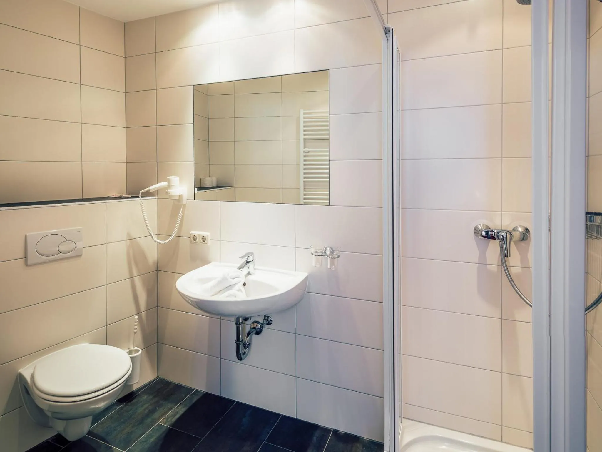 Bathroom in Die Reblaus