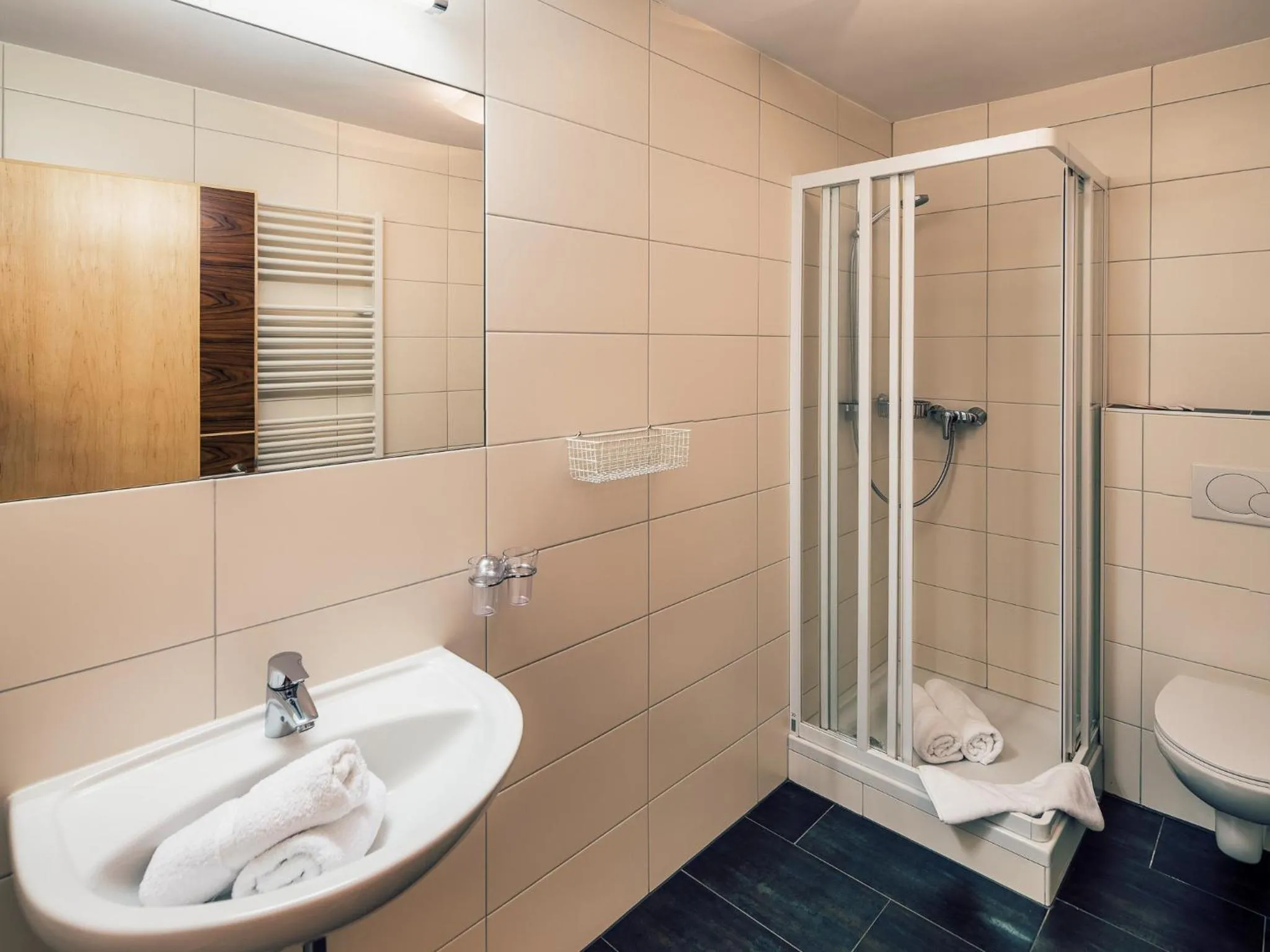 Bathroom in Die Reblaus