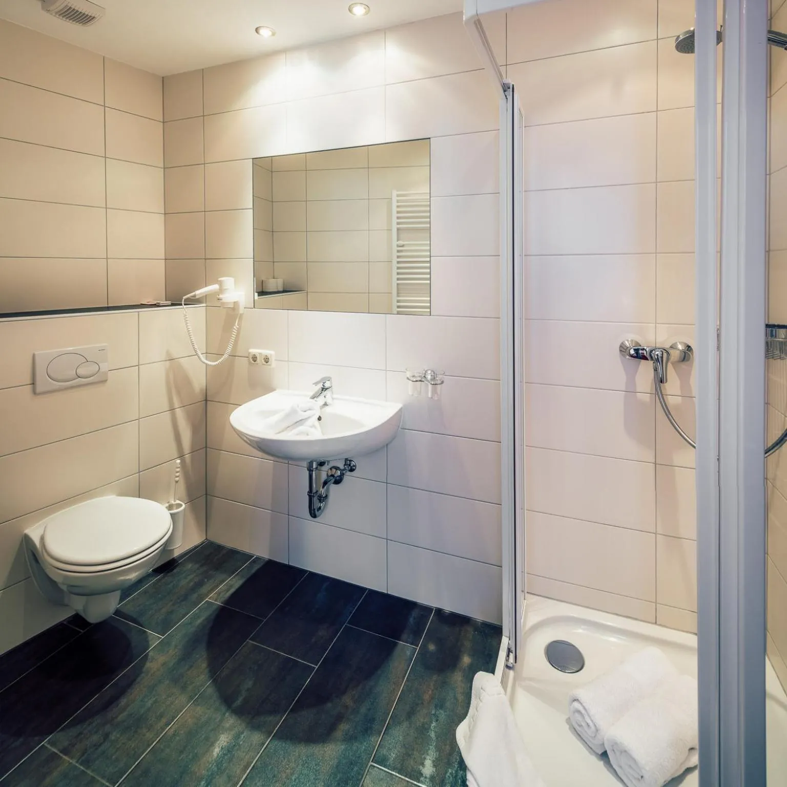 Bathroom in Die Reblaus