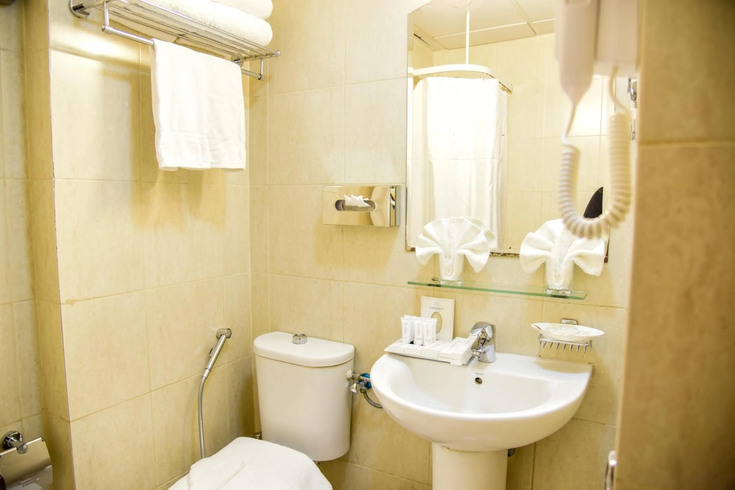 Bathroom in Plaza Inn Ohud Hotel