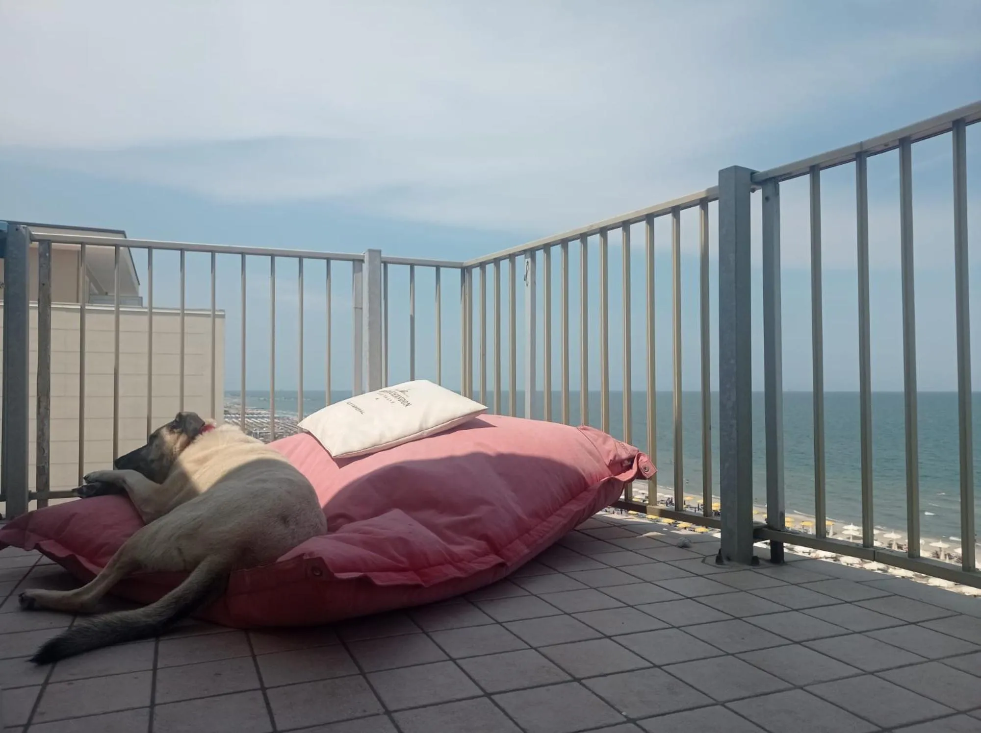 Balcony/Terrace in Hotel Negresco